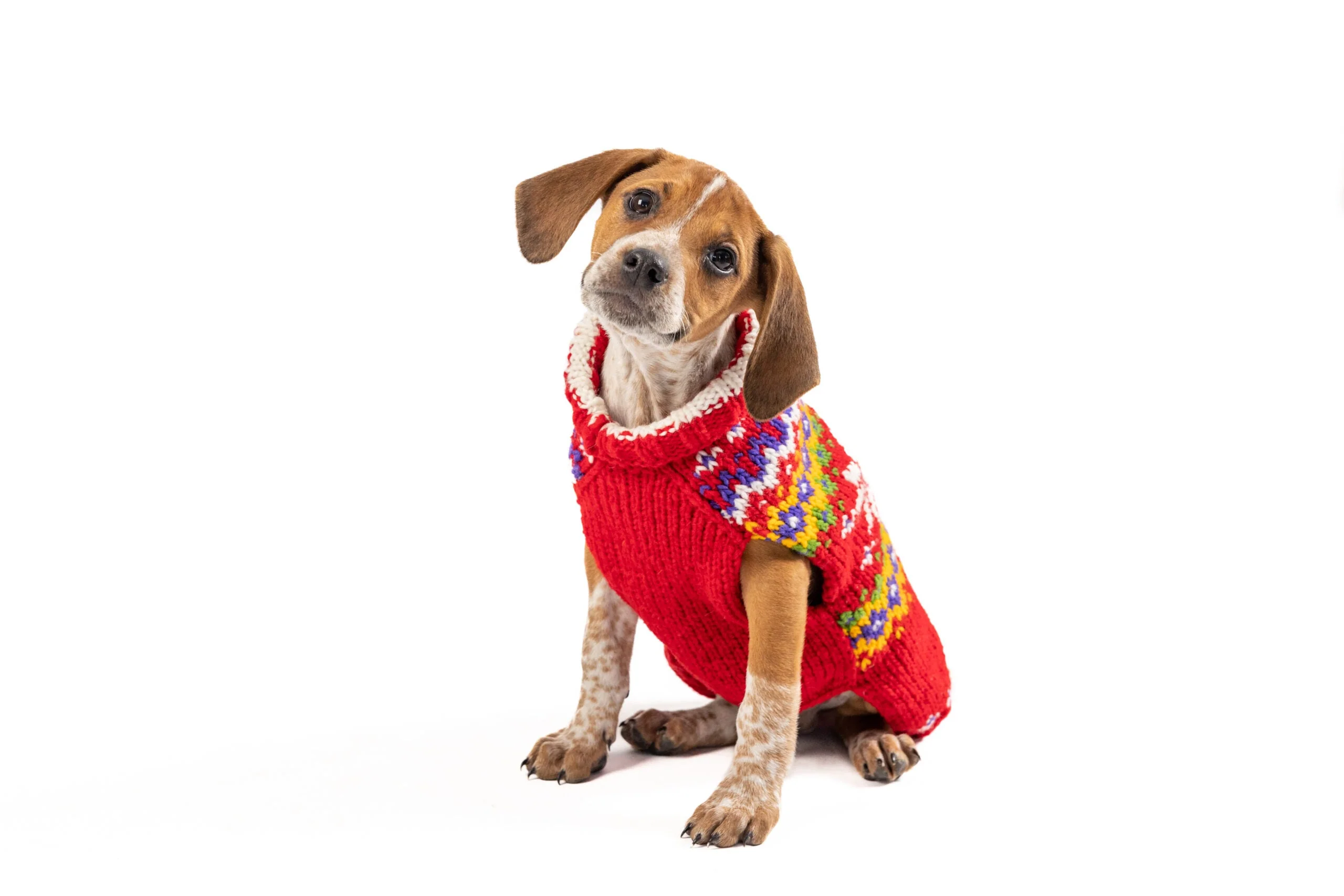 Jolly Red Dog Sweater - Image 2