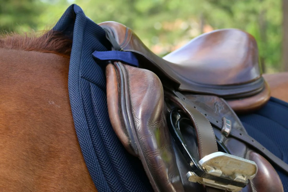Jump Mesh Saddle Pad with Quick Dry Cotton Lining in Navy, White, or Black - Image 11