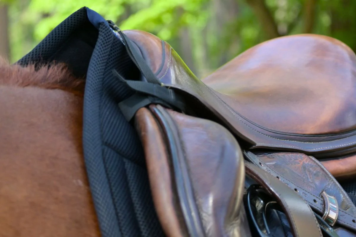 Jump Mesh Saddle Pad with Quick Dry Cotton Lining in Navy, White, or Black - Image 7