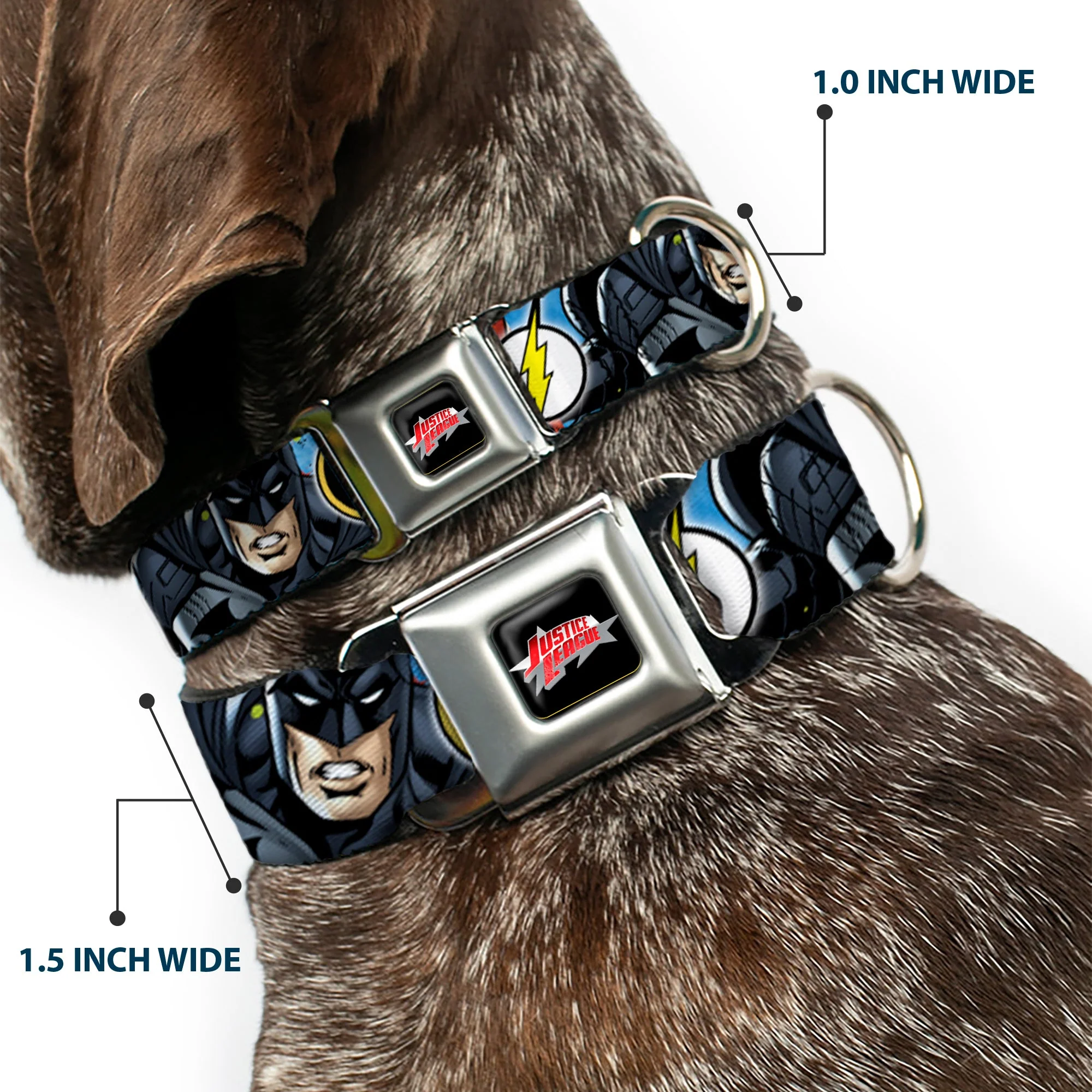 JUSTICE LEAGUE Star Logo Black/Silver-Fade/Red Seatbelt Buckle Collar - Justice League 4-Superhero CLOSE-UP Poses/Logos - Image 2
