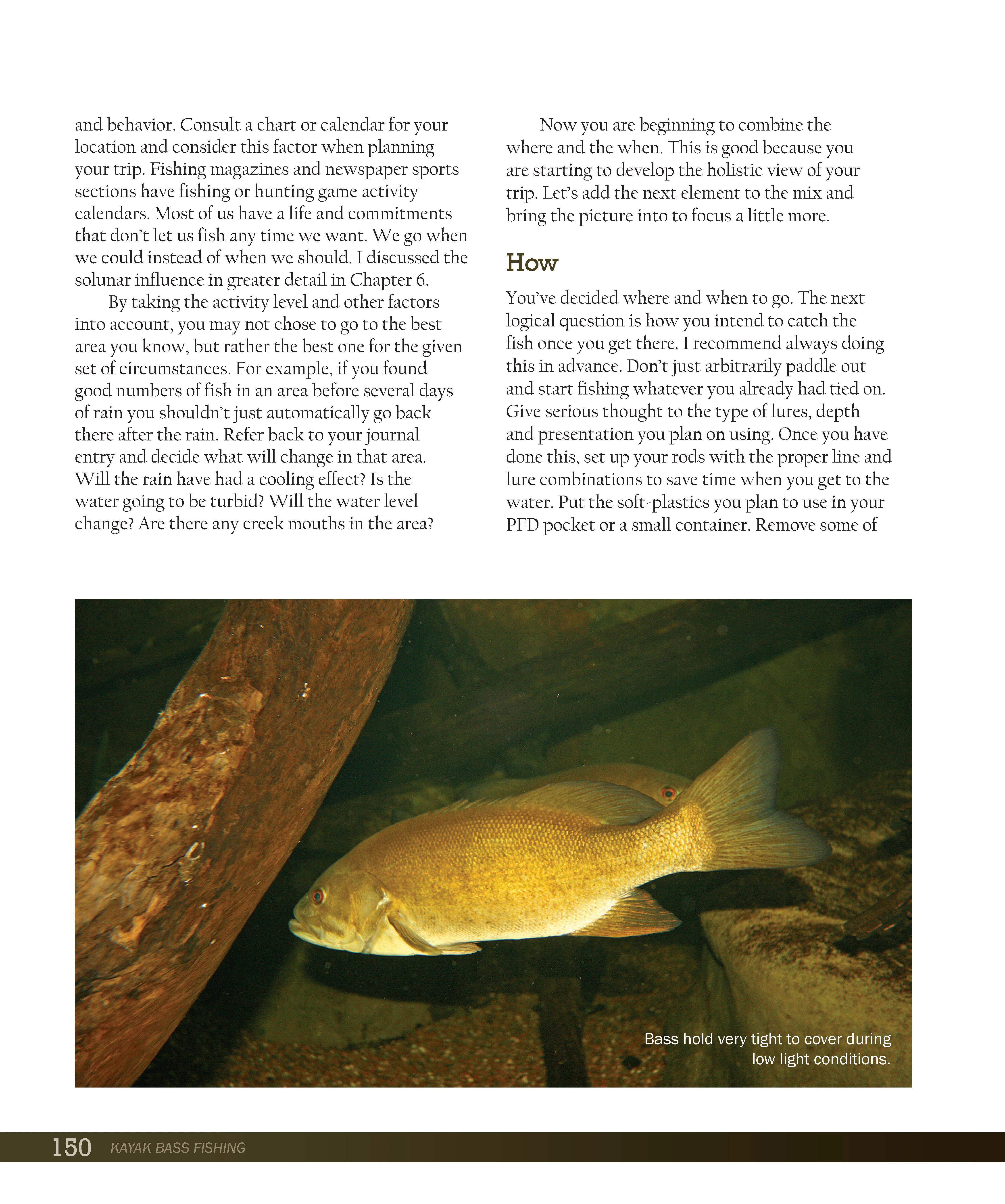 Kayak Bass Fishing - Image 9