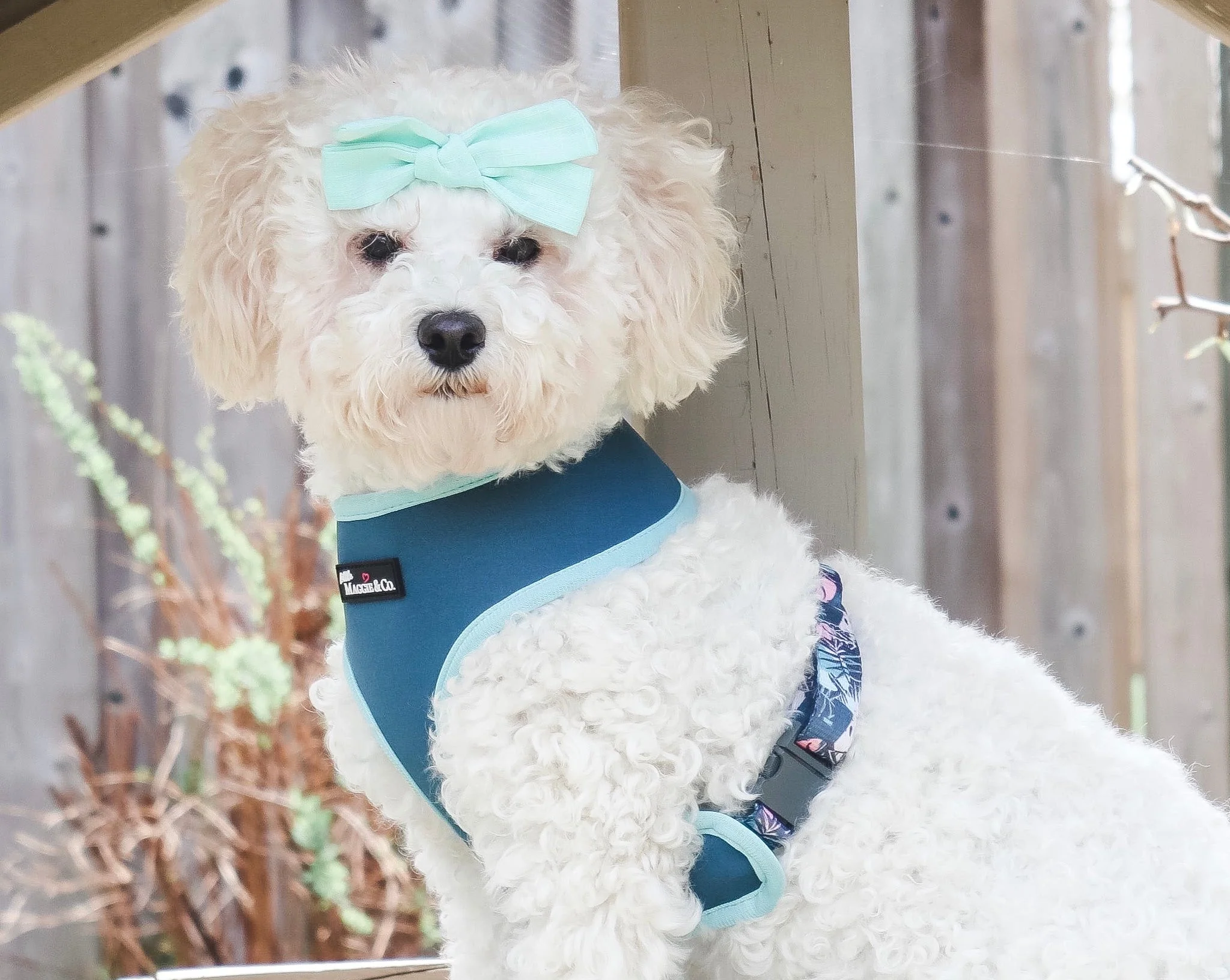 Keep Palm Reversible Harness - Image 8