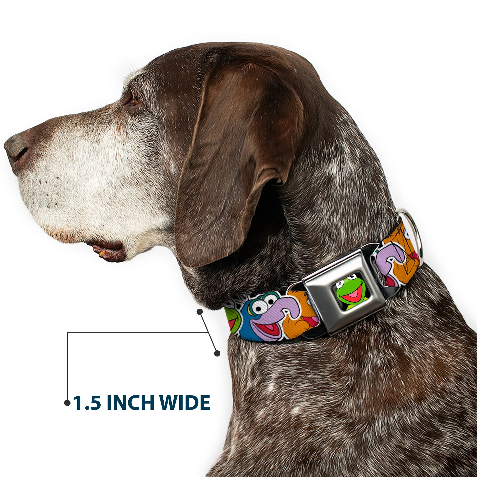 Kermit Face Full Color Black Seatbelt Buckle Collar - Muppets Faces CLOSE-UP Black - Image 7