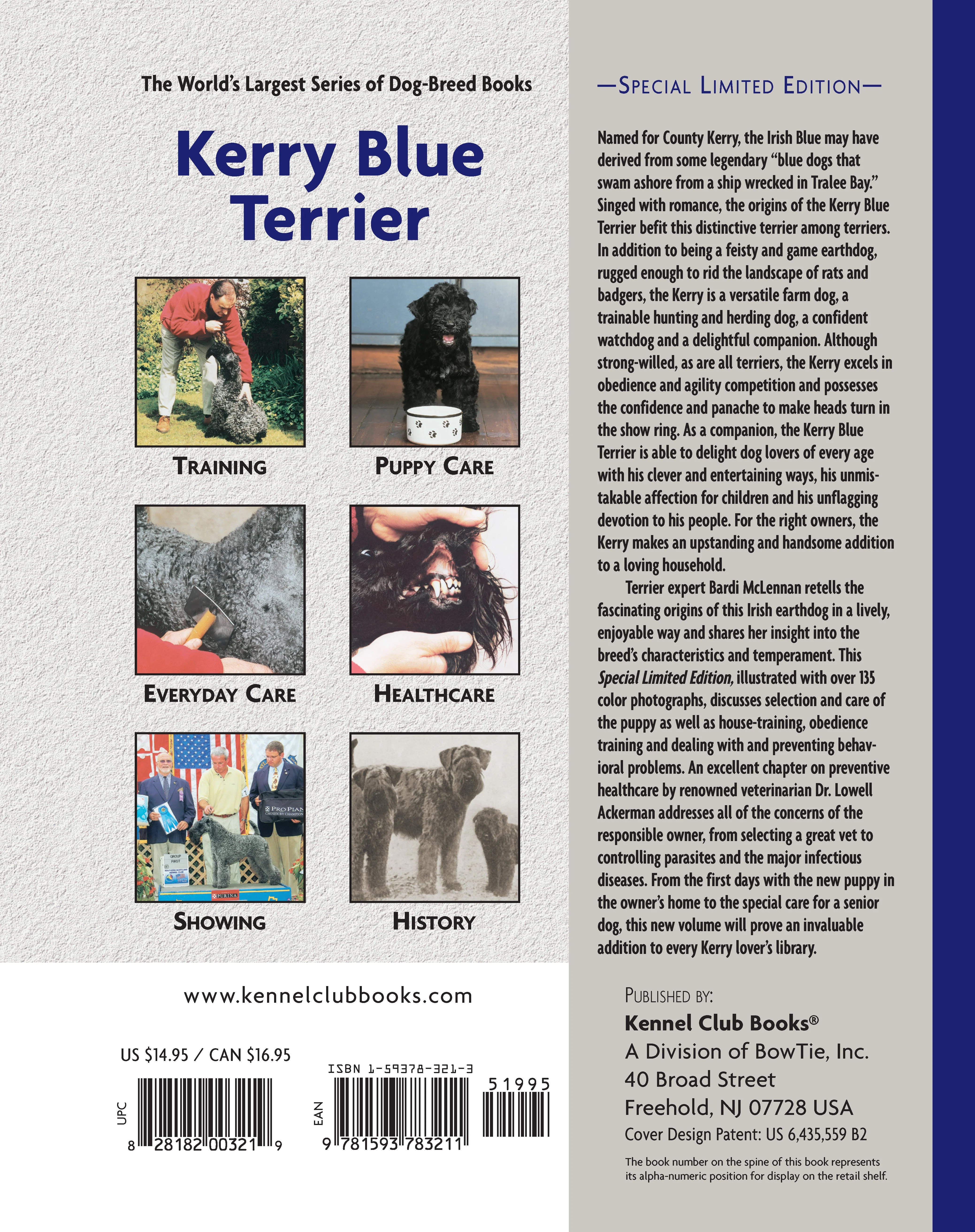 Kerry Blue Terrier - Image 2