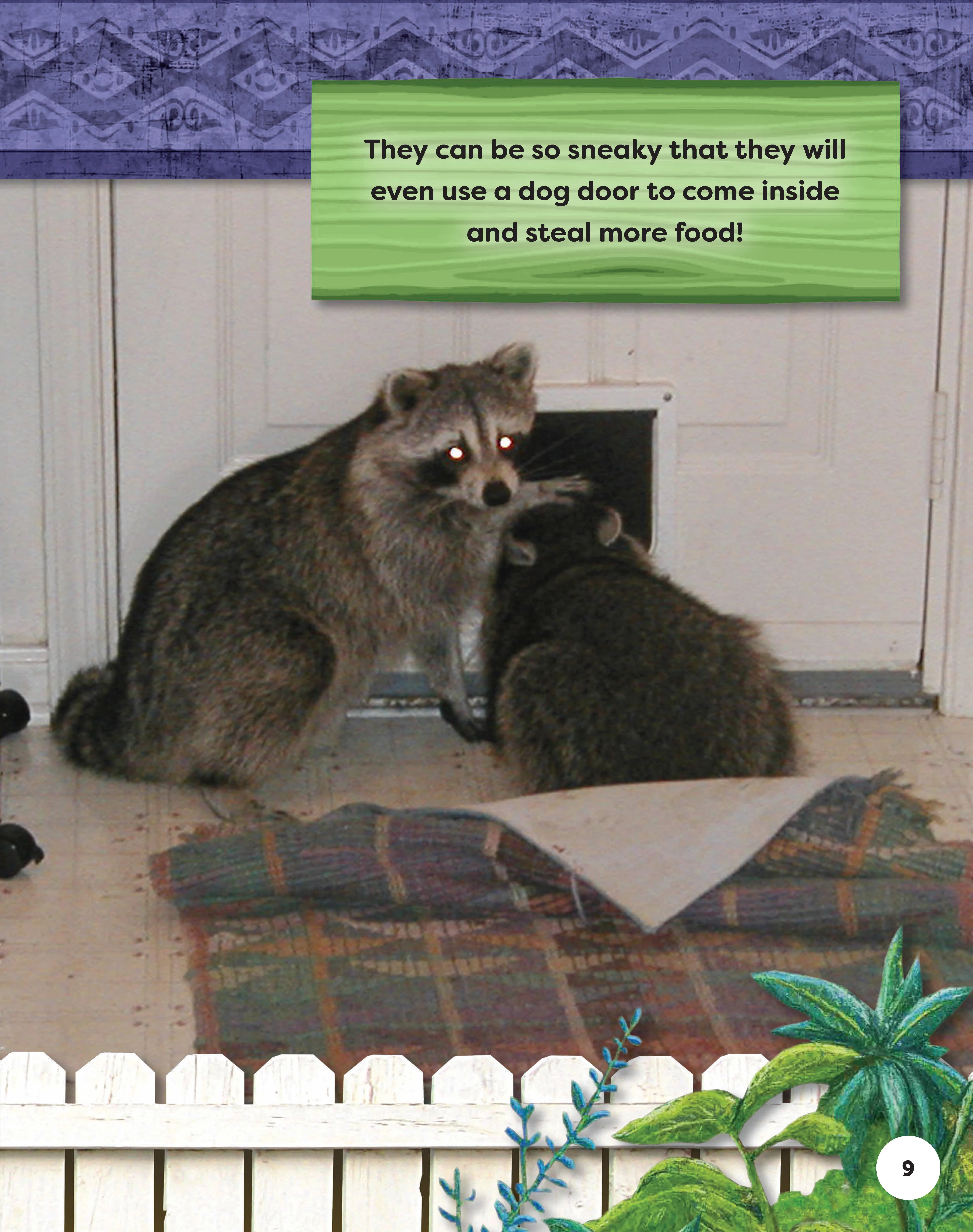 Kids' Backyard Safari: Raccoons - Image 4
