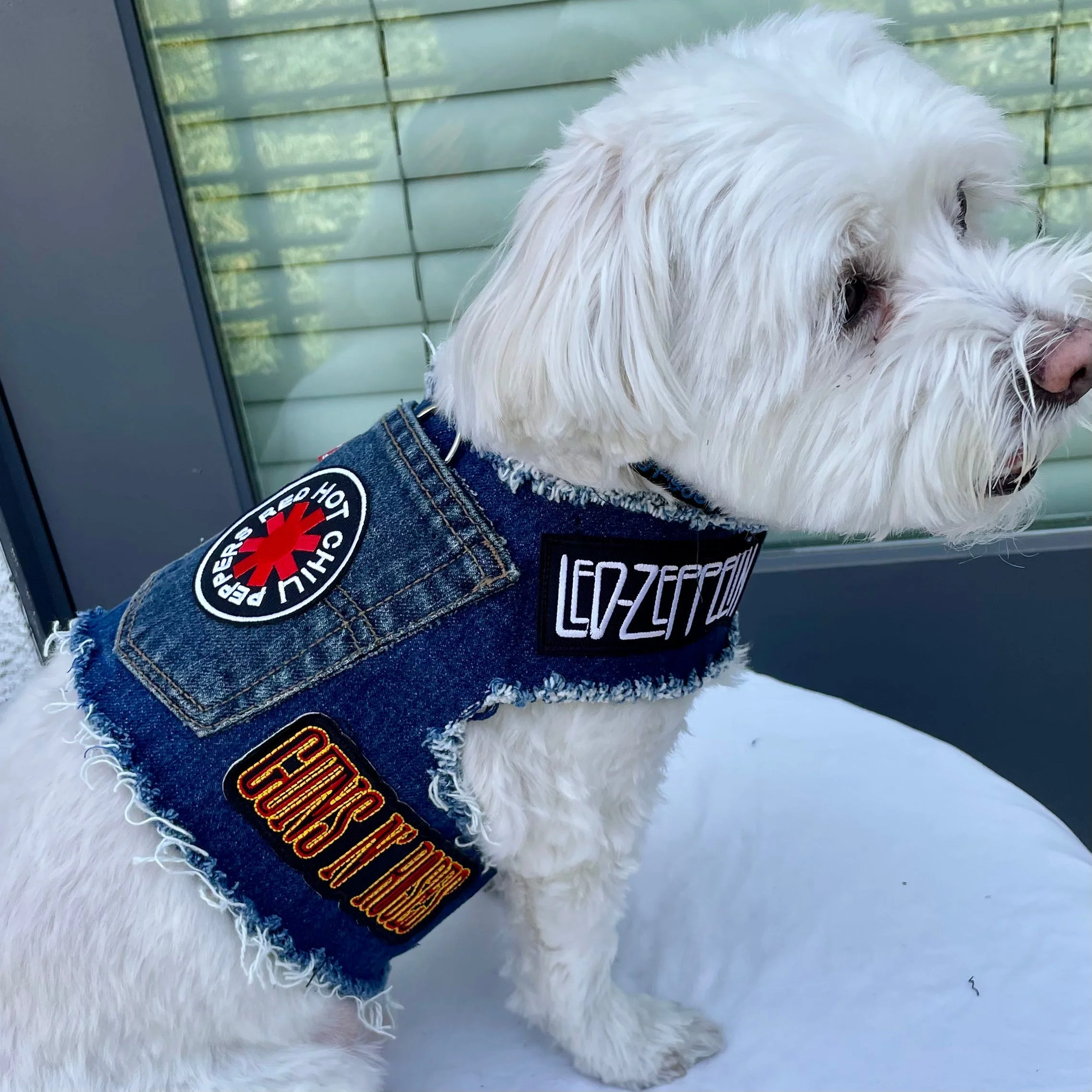 Kiss Harness - Image 5