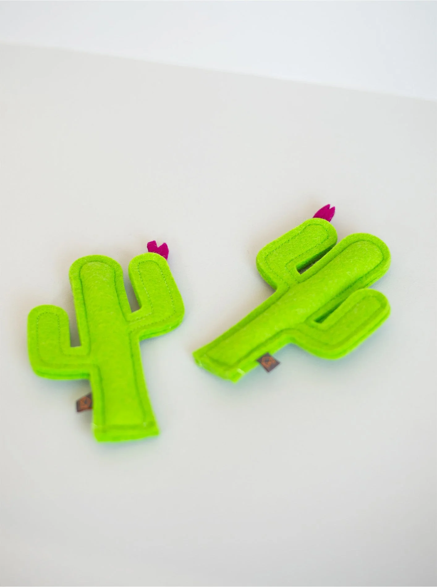 KITTY CACTUS - Image 6