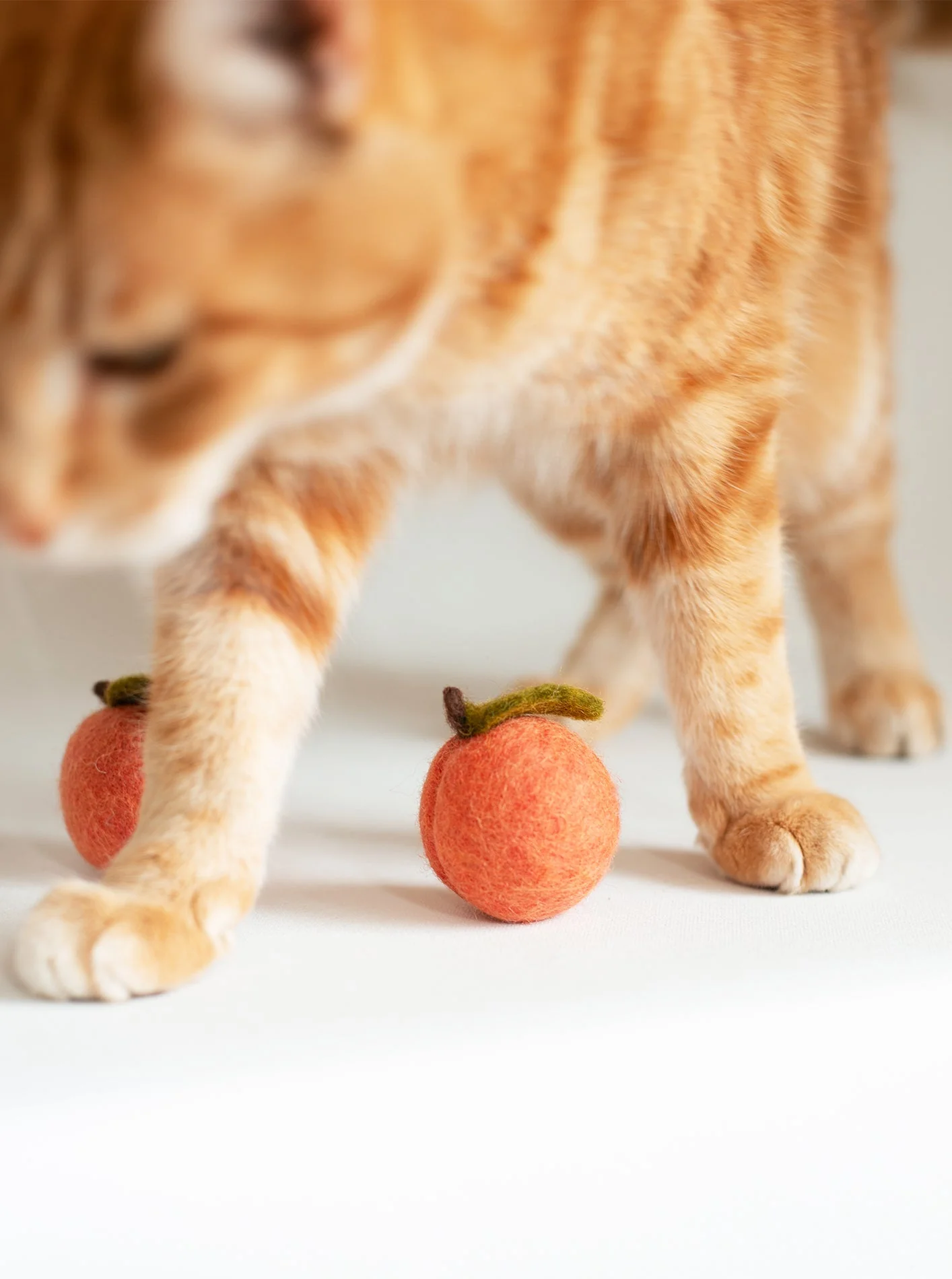 KITTY PEACHES - Image 2