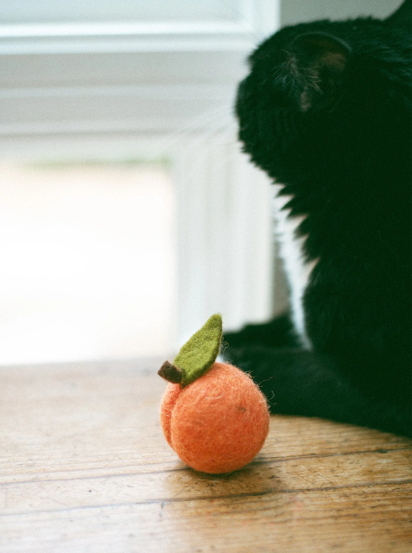 KITTY PEACHES - Image 4