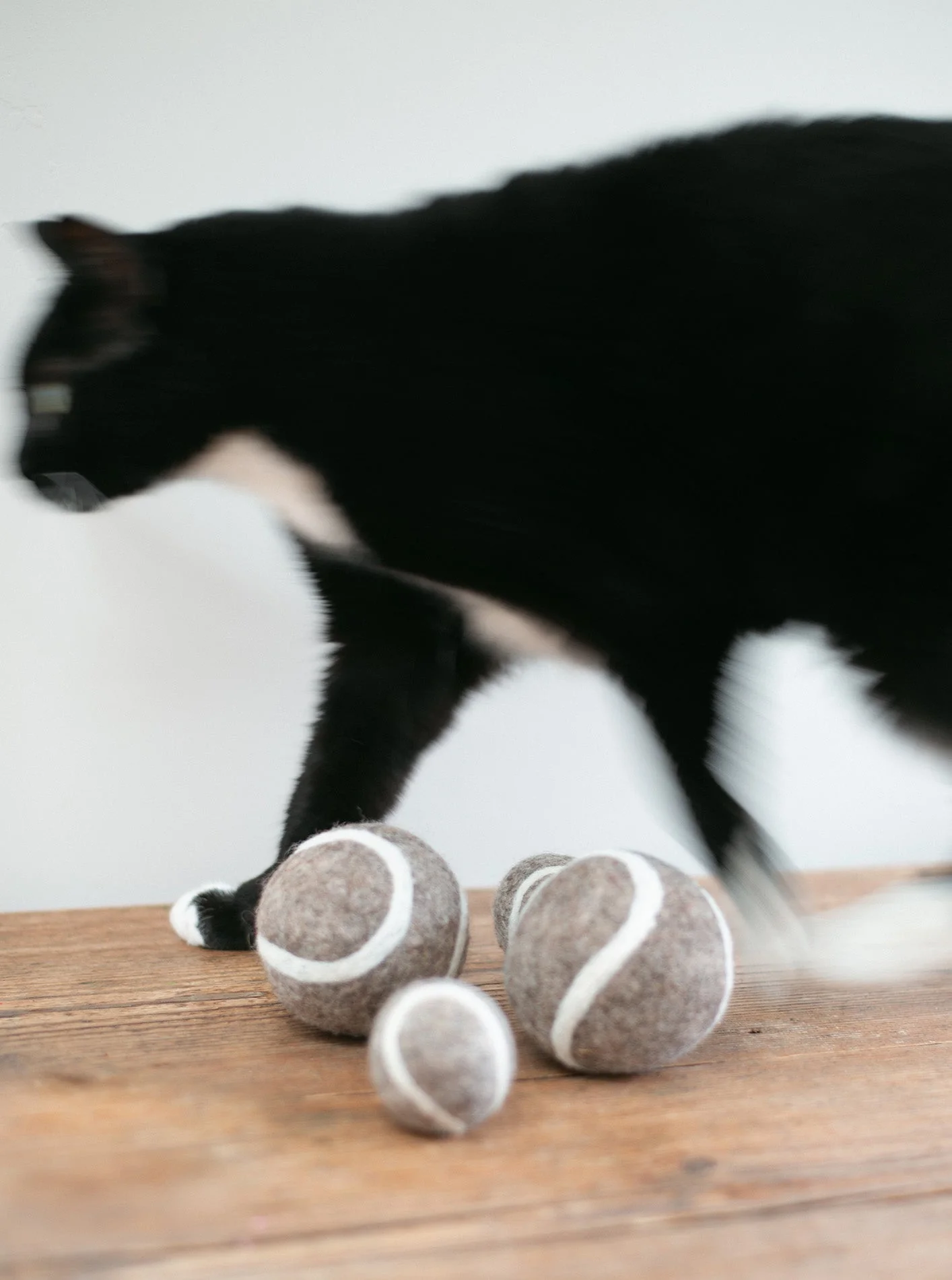 KITTY TENNIS BALL - Image 4