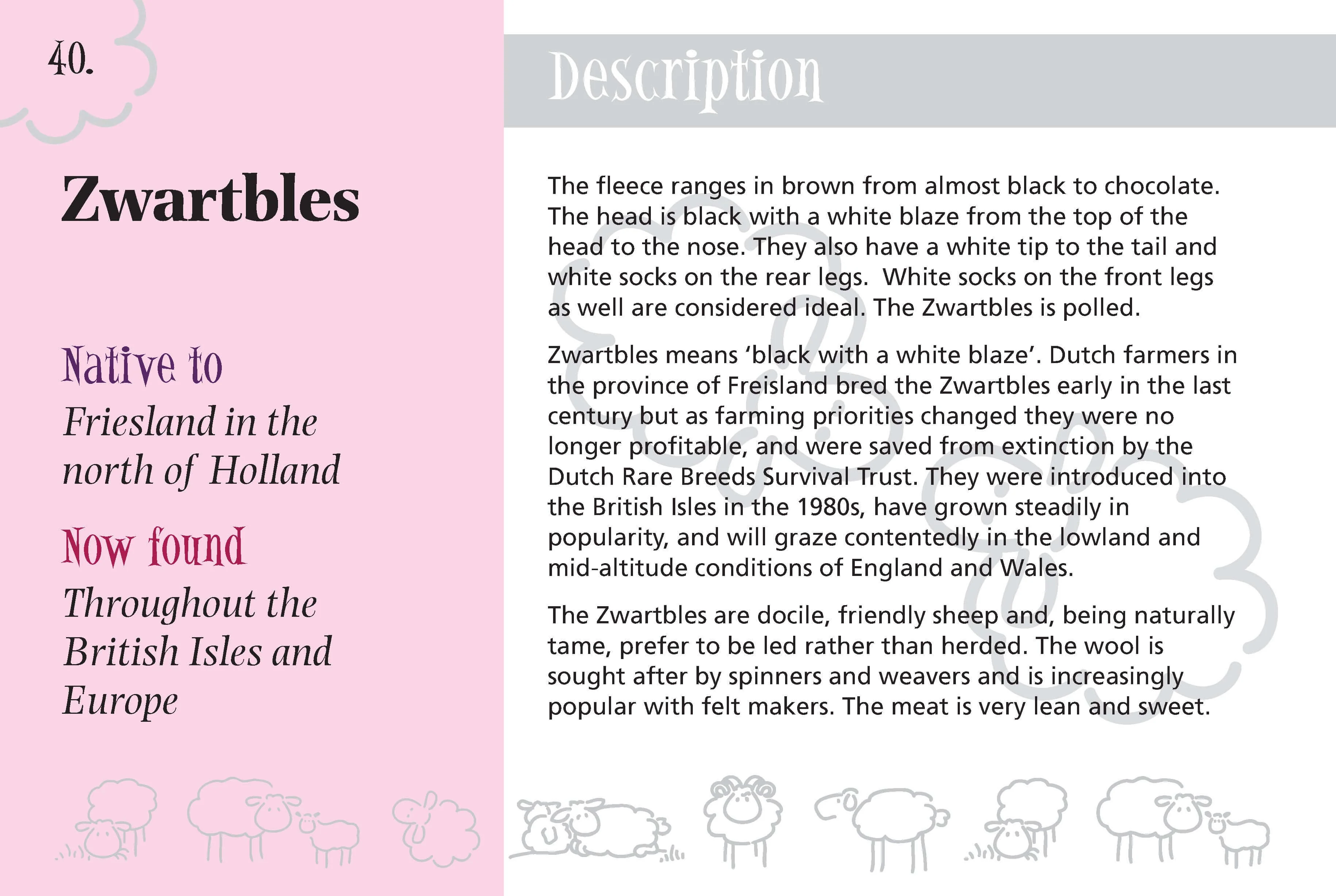 Know More Sheep - Image 4