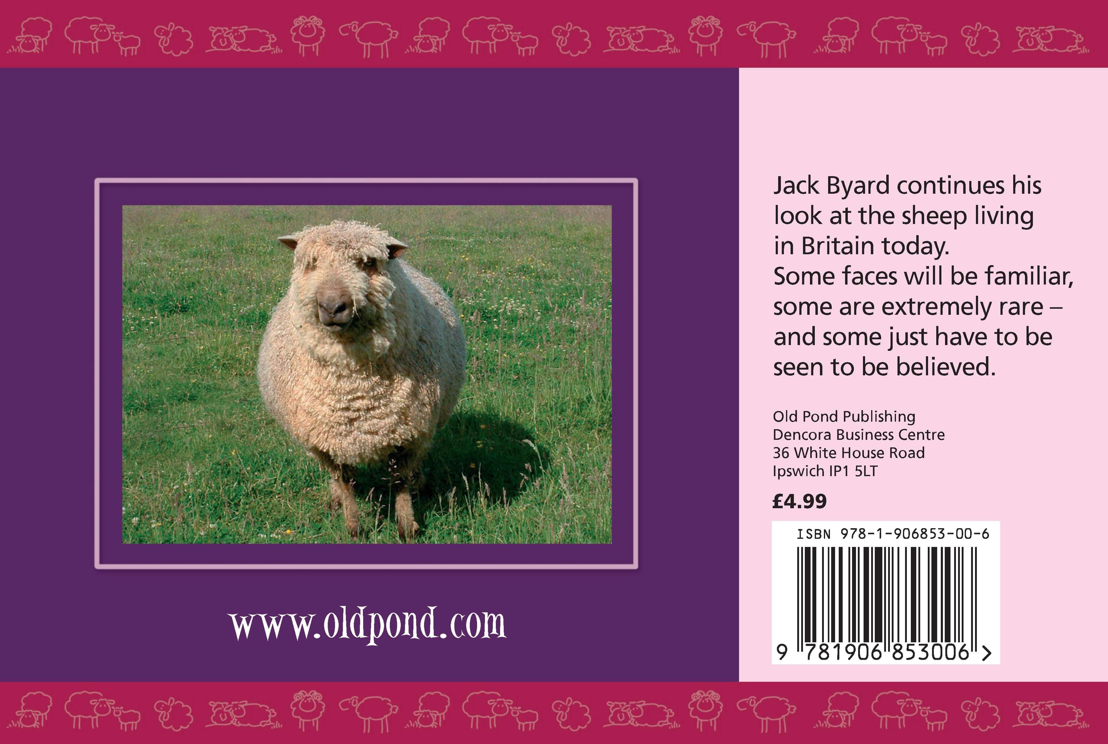 Know More Sheep - Image 7