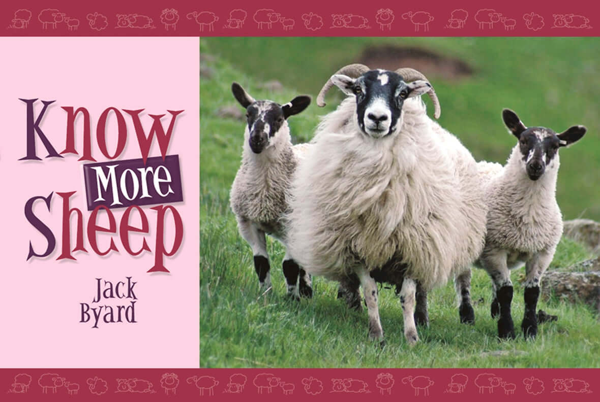 Know More Sheep - Image 8