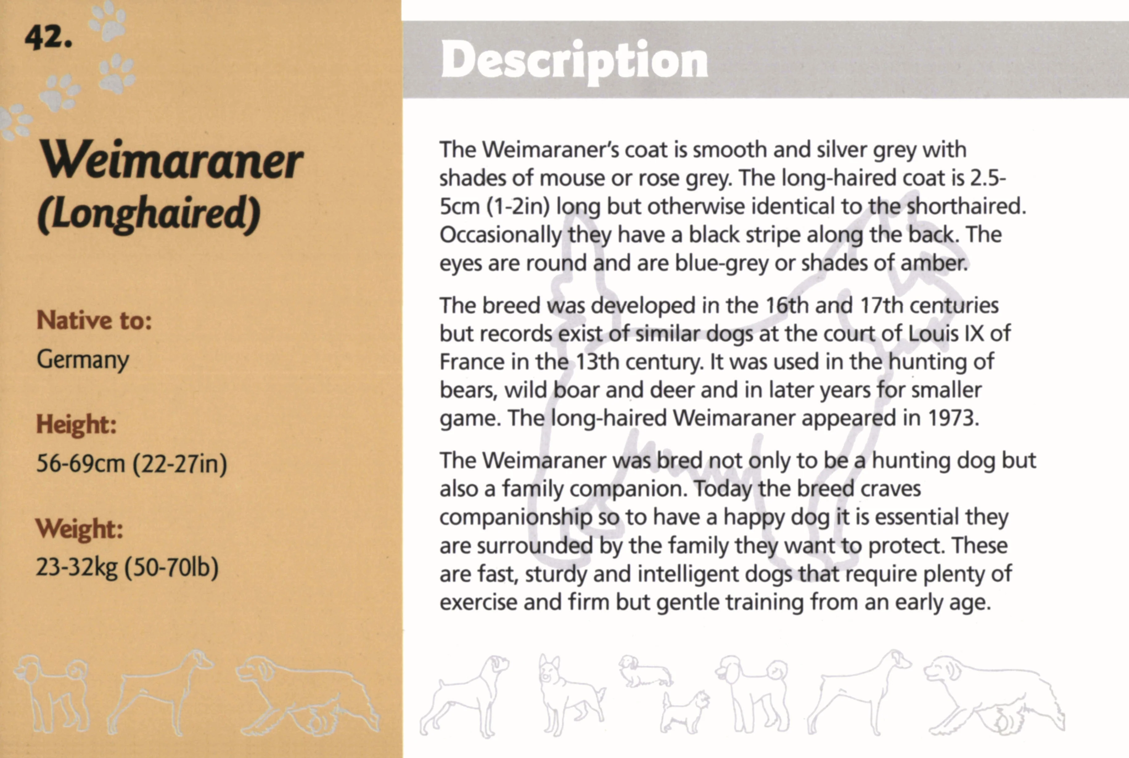Know Your Dogs - Image 4