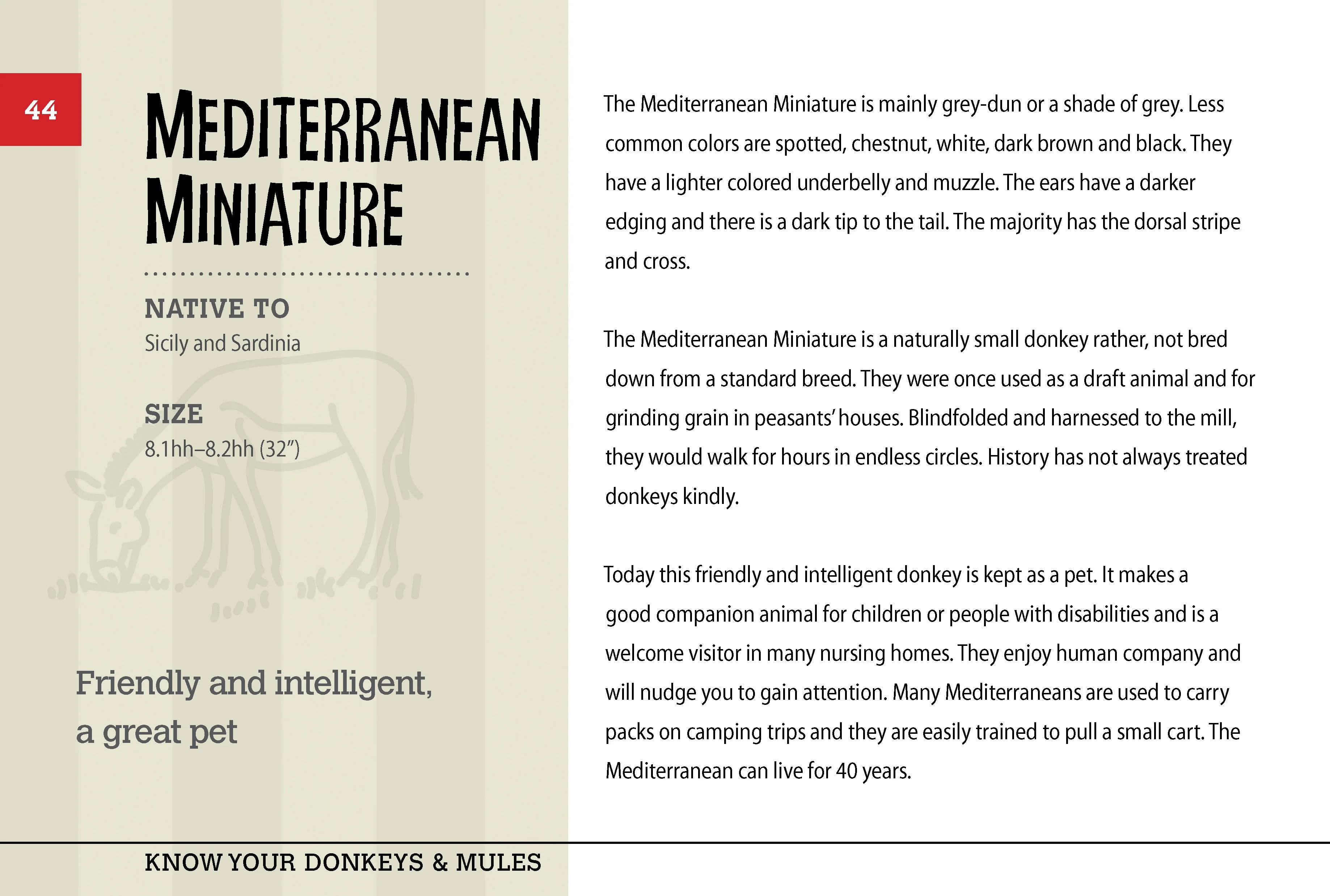 Know Your Donkeys & Mules - Image 5