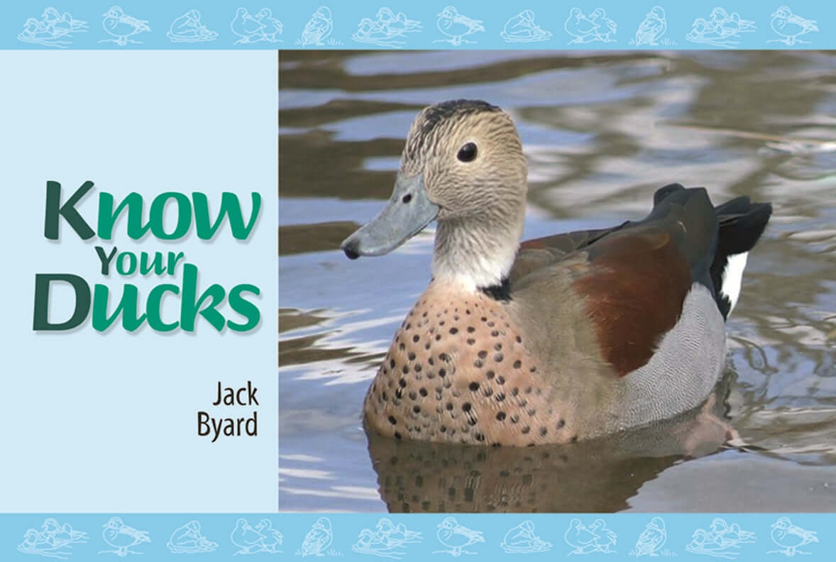 Know Your Ducks - Image 8