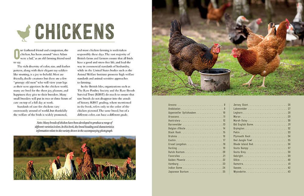 Know Your Hobby Animals: A Breed Encyclopedia - Image 7