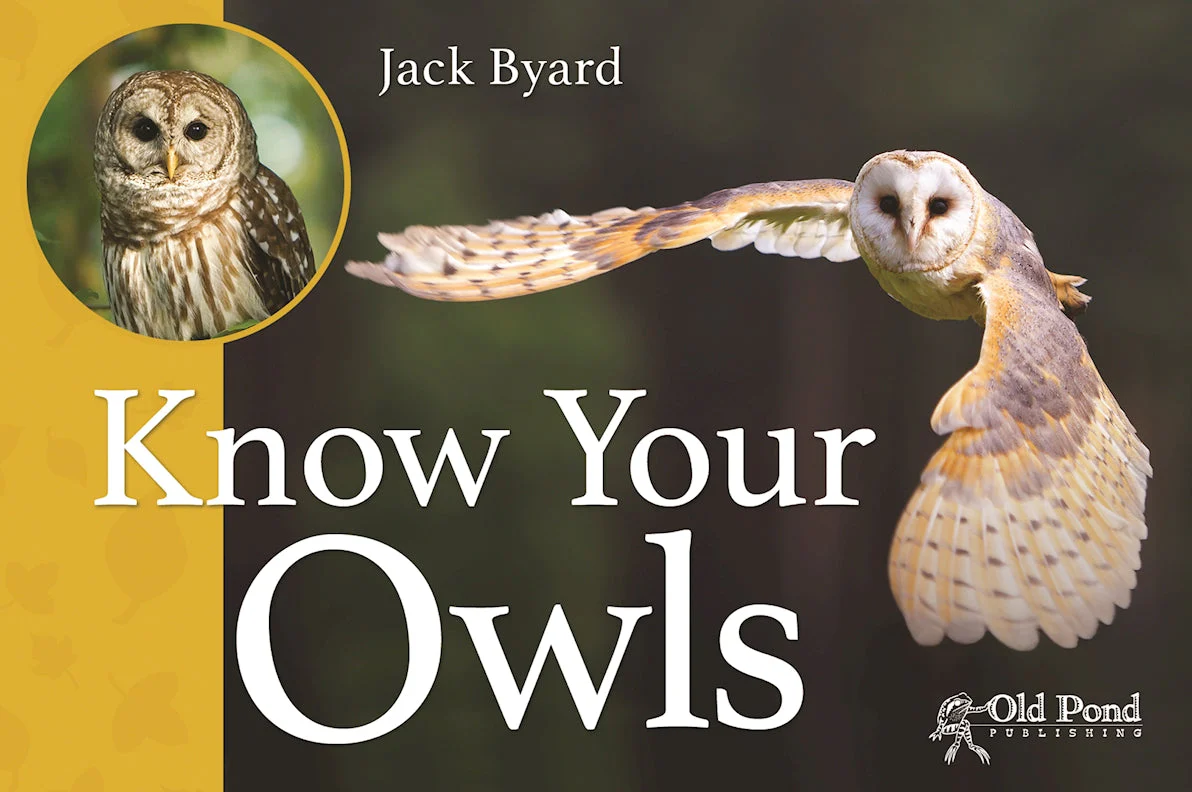 Know Your Owls - Image 7