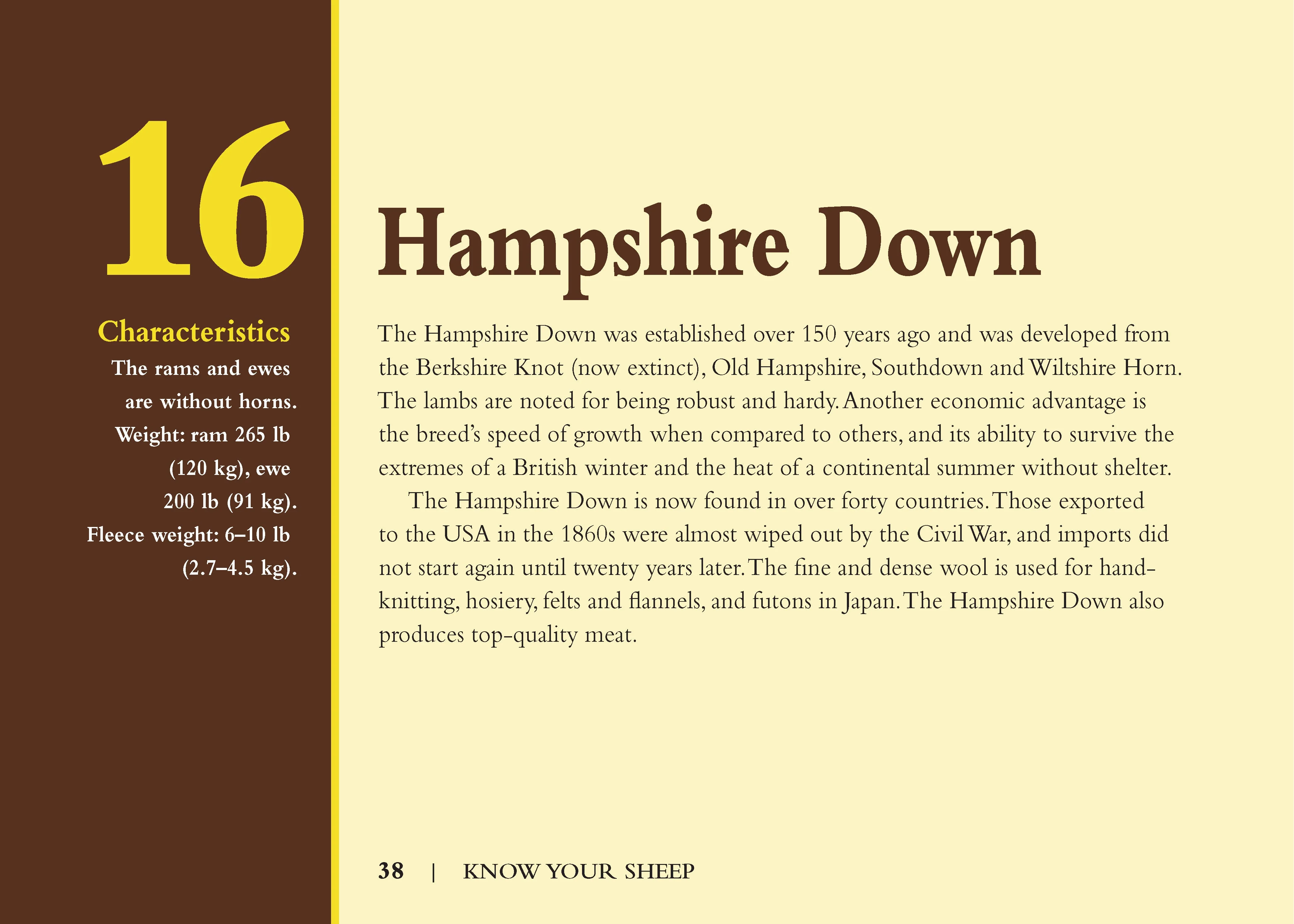 Know Your Sheep - Image 3