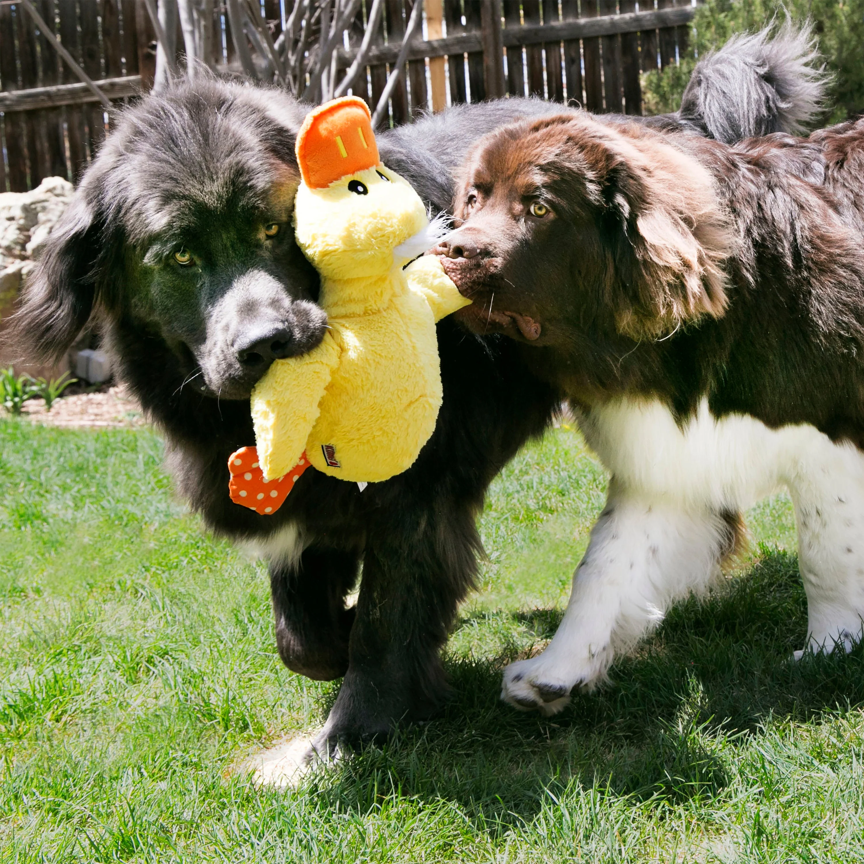 Kong Comfort Duck X-Large - Image 2