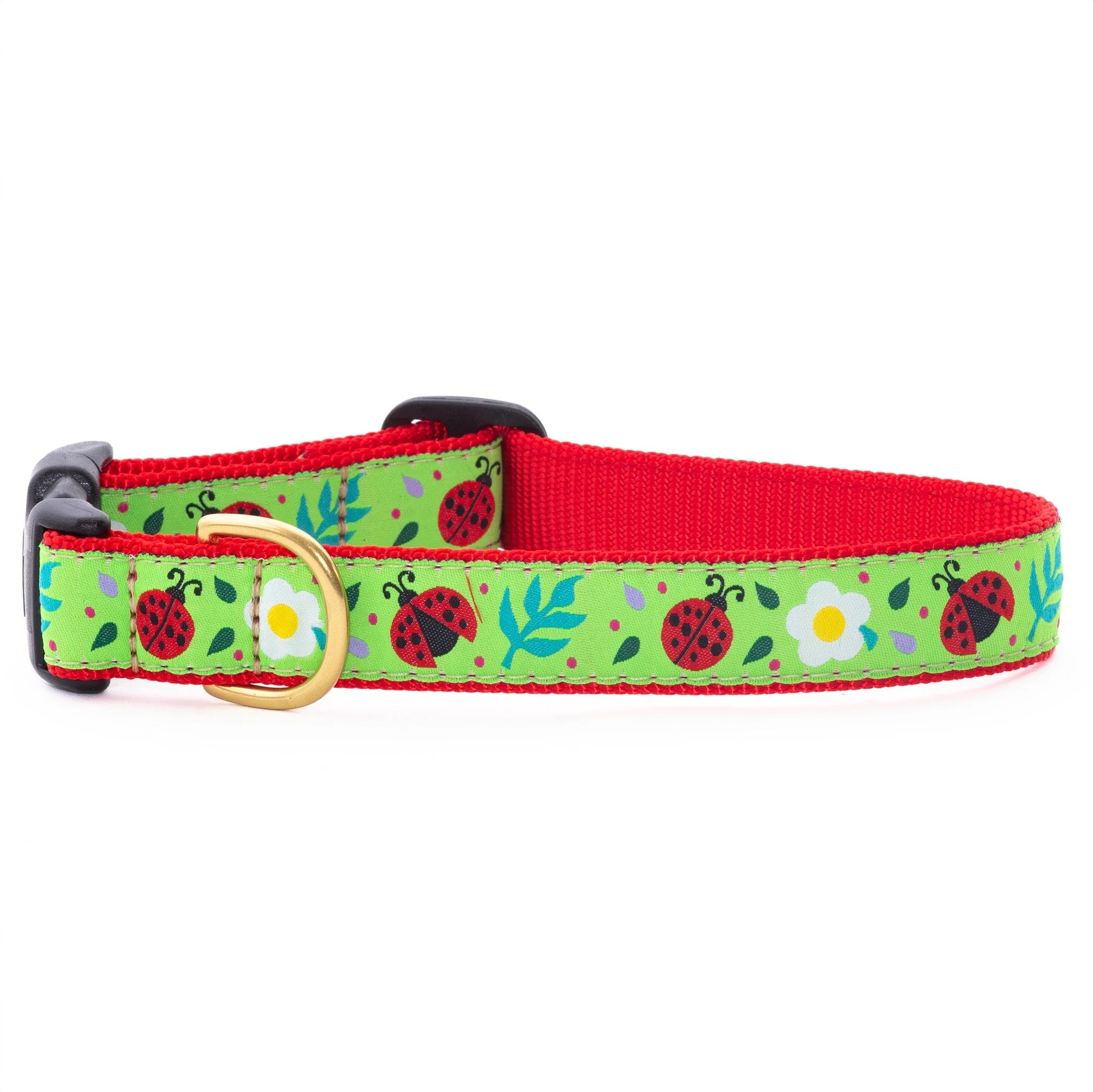 Up Country Ladybugs Narrow Cast Brass Dog Collar