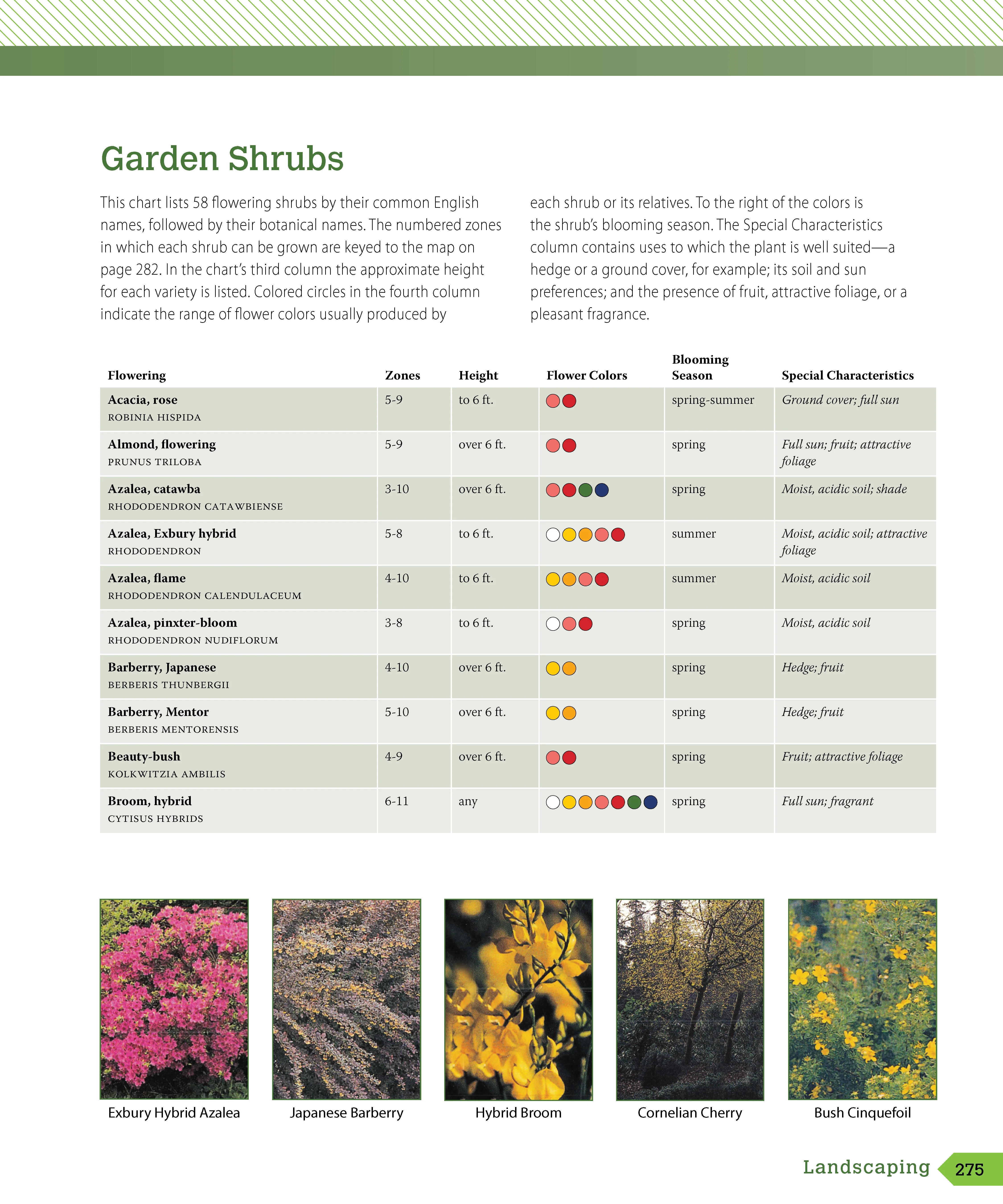 Landscaping - Image 4