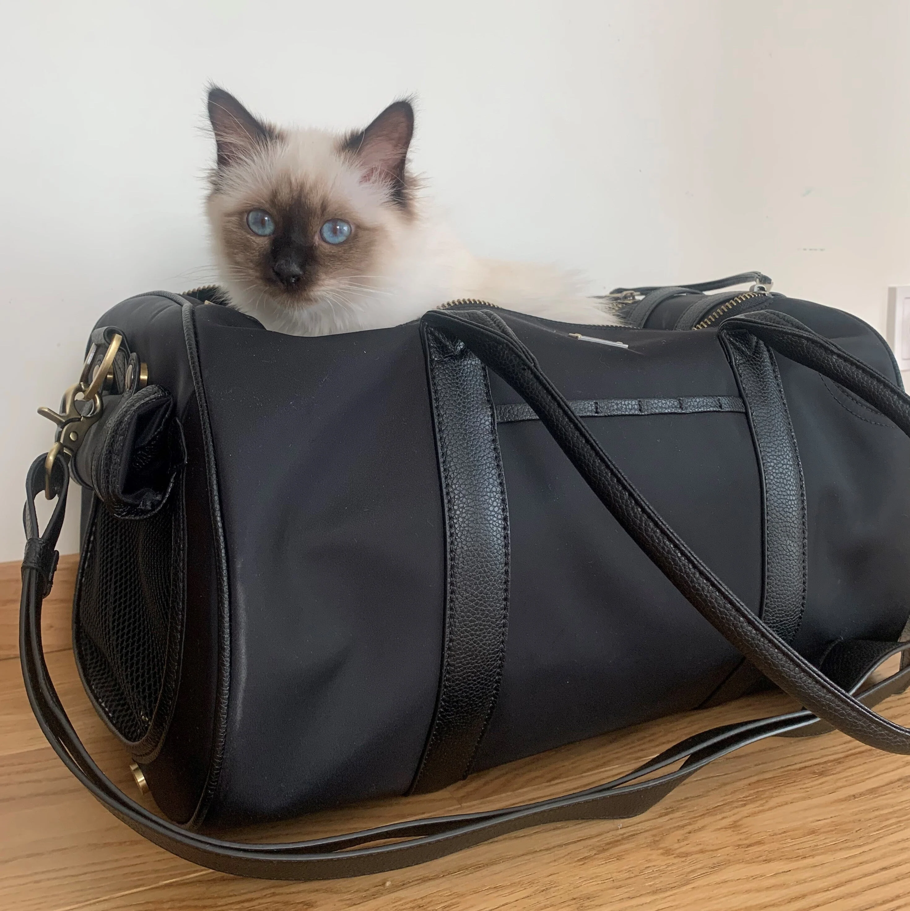 Large Pet Carrier and Multifunctional Bag in Black - Image 9