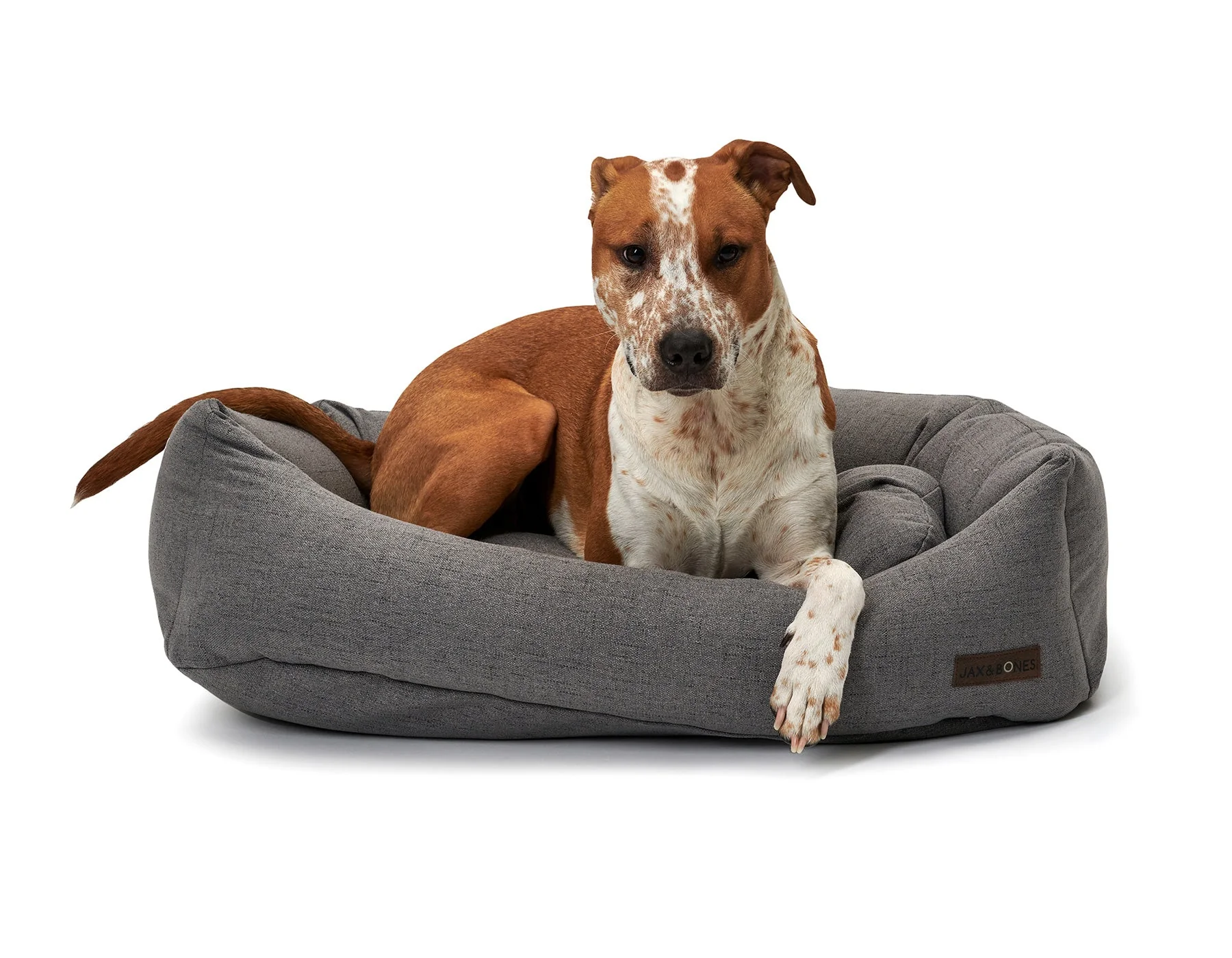 Jax & Bones Lark Graphite Napper Bed Beds