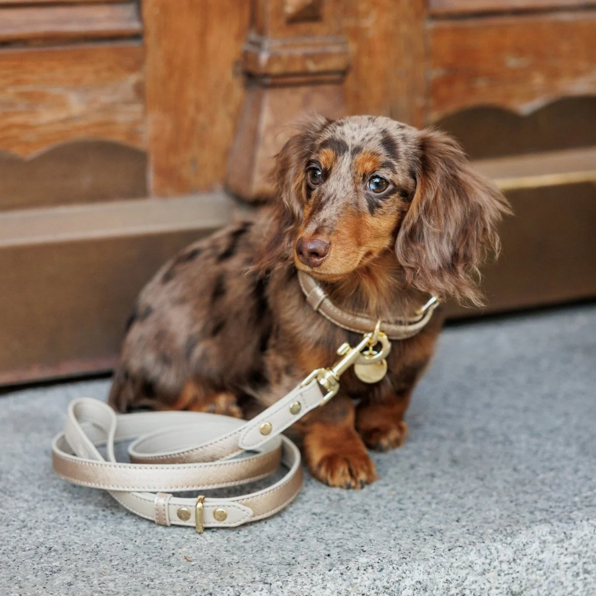 Leash 4ft - Vegan Leather - Image 21
