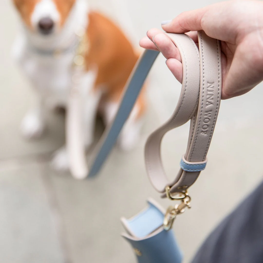 Leash 4ft - Vegan Leather - Cupertino - Image 14