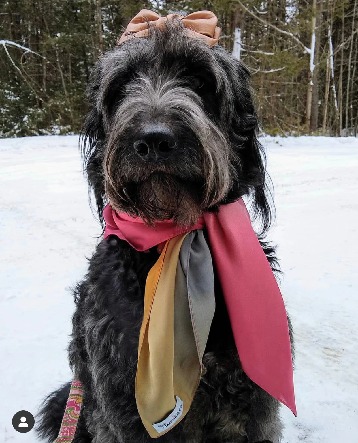 Leather Bow: Cocoa Bean - Image 3