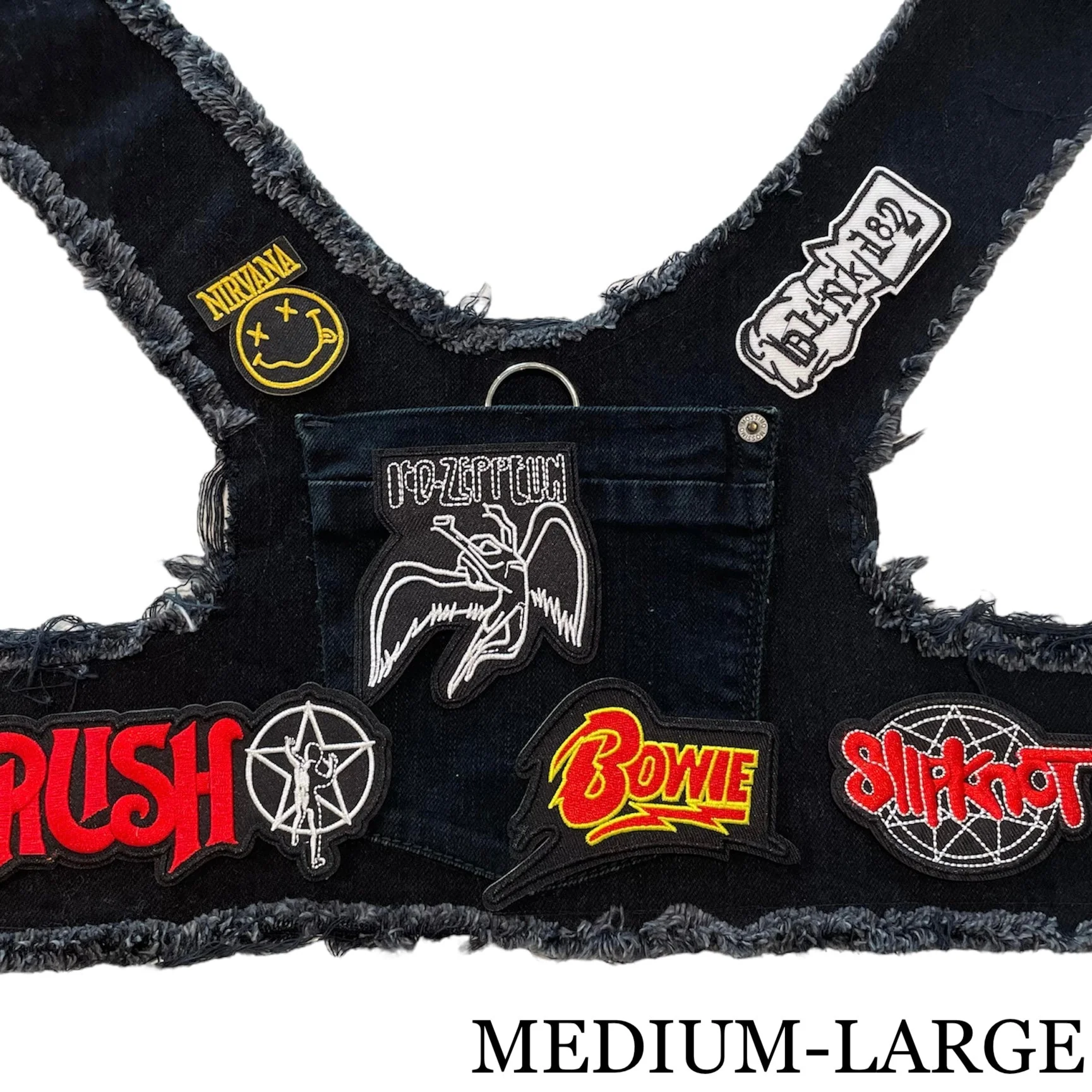 Led Zeppelin Harness - Image 10