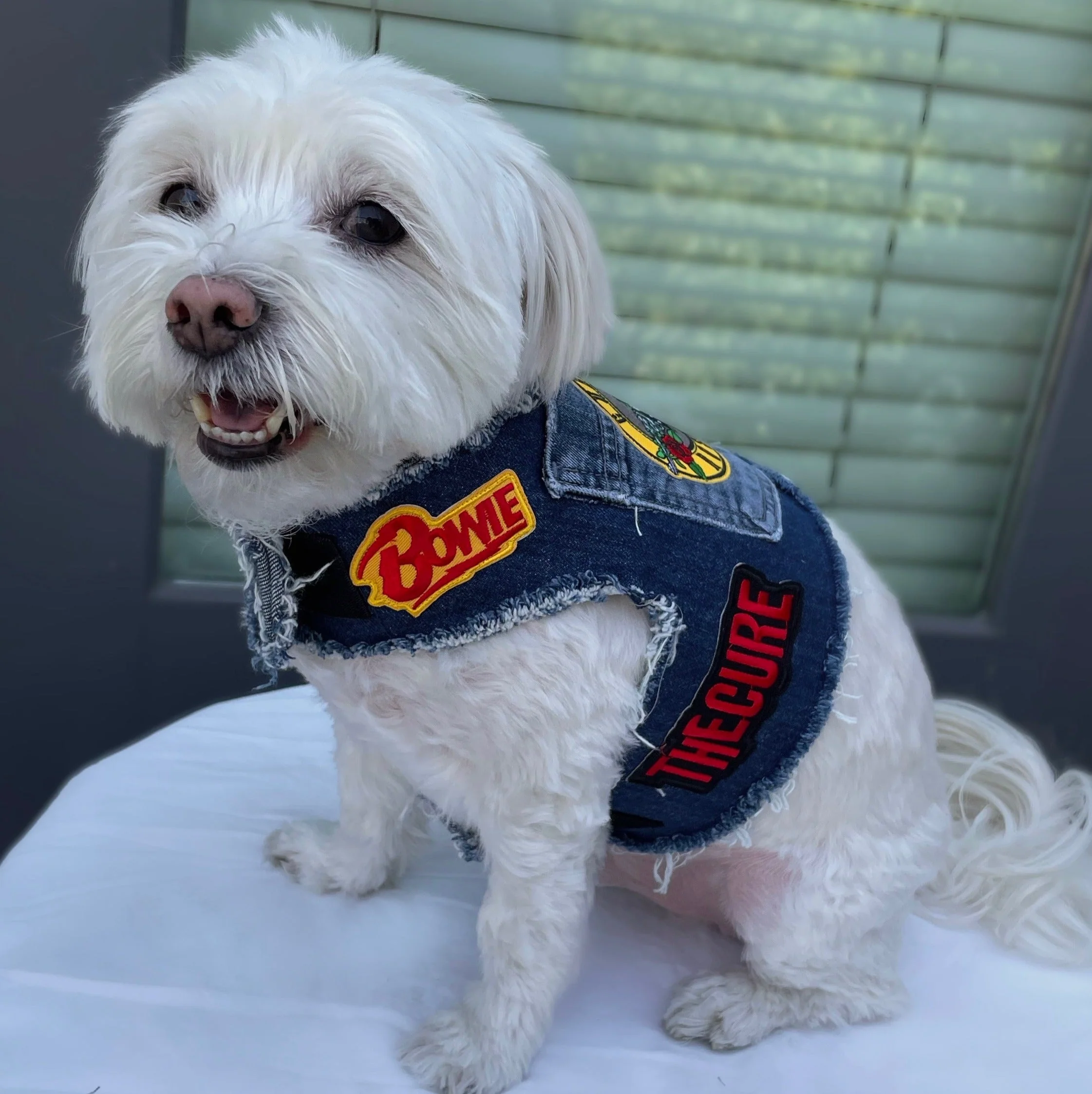 Led Zeppelin Harness - Image 5