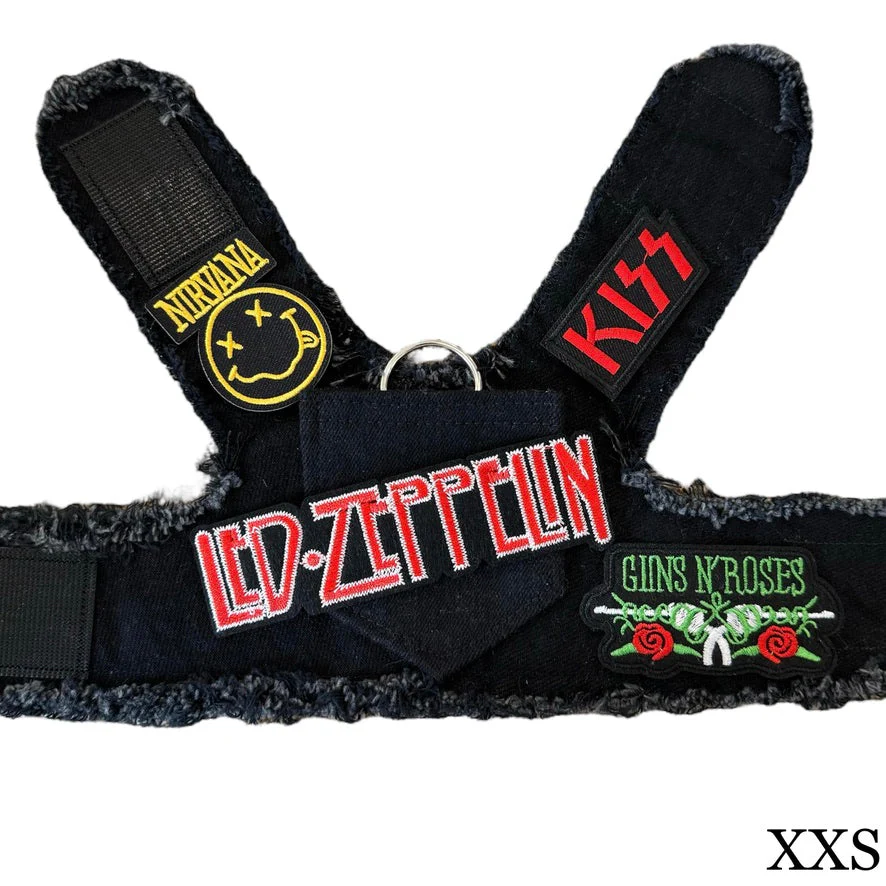 Led Zeppelin Harness - Image 9