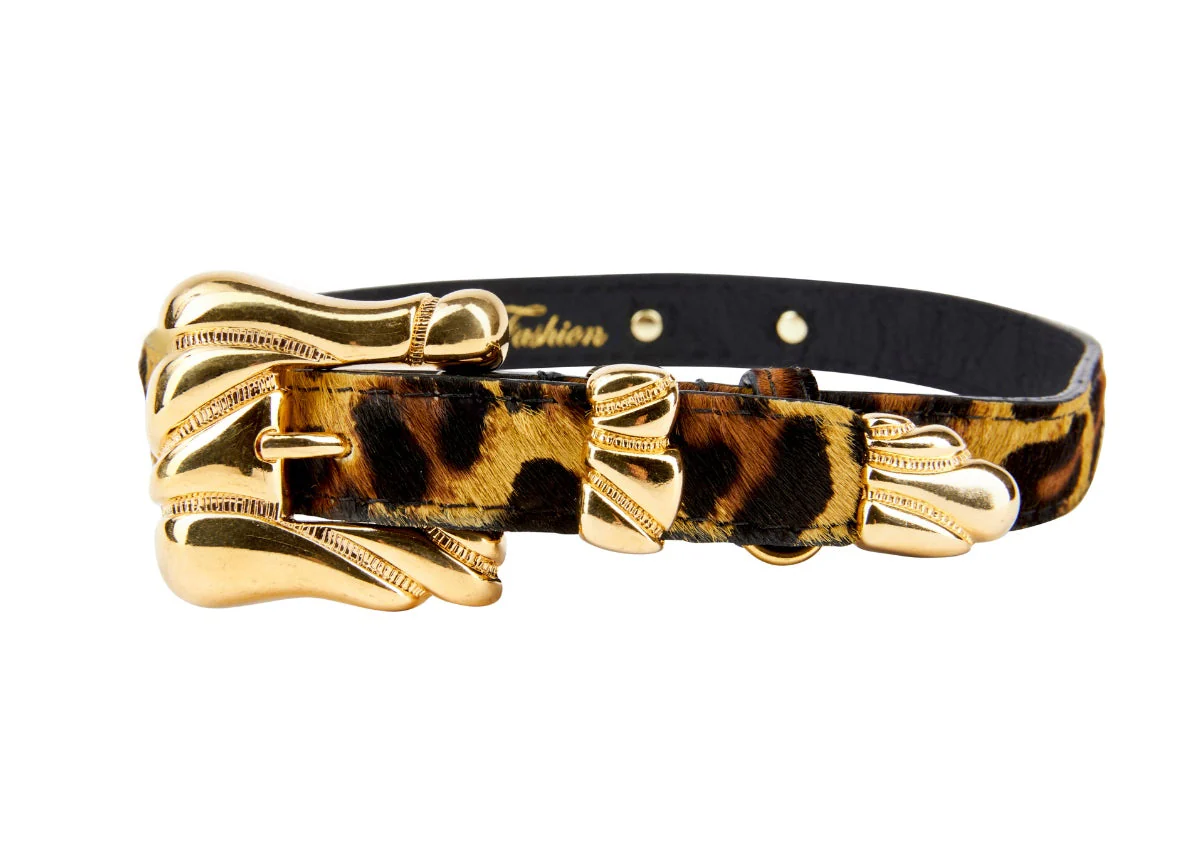 Leopard Print Hair On Hide Italian Leather Collar With Ornate Italian Hardware - Image 2