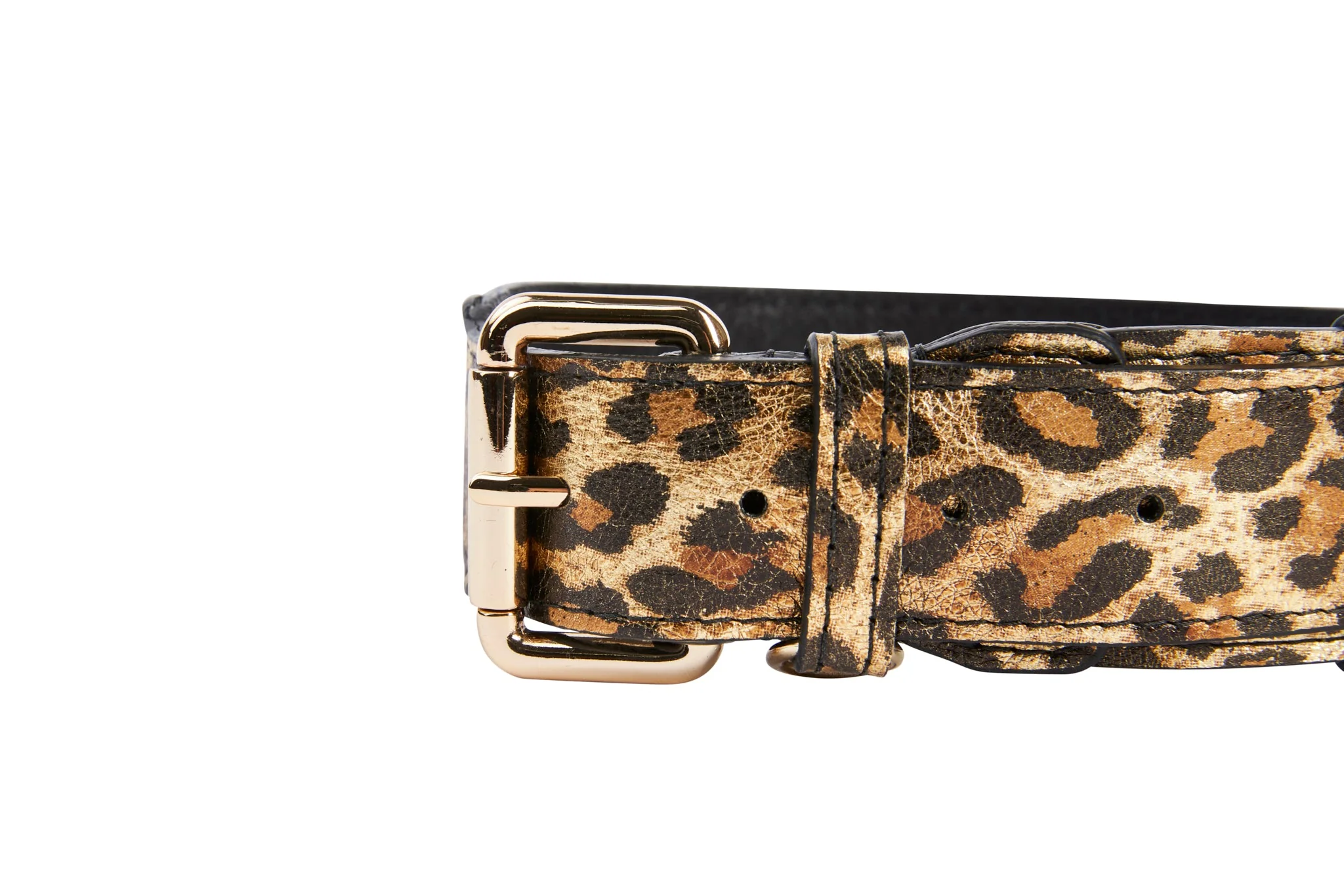 Leopard Print Italian Leather Collar With Gold Classic Hardware - Image 4