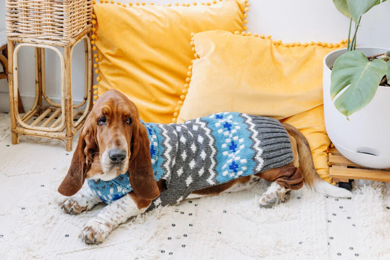 Light Blue Fair Isle Dog Sweater - Image 13