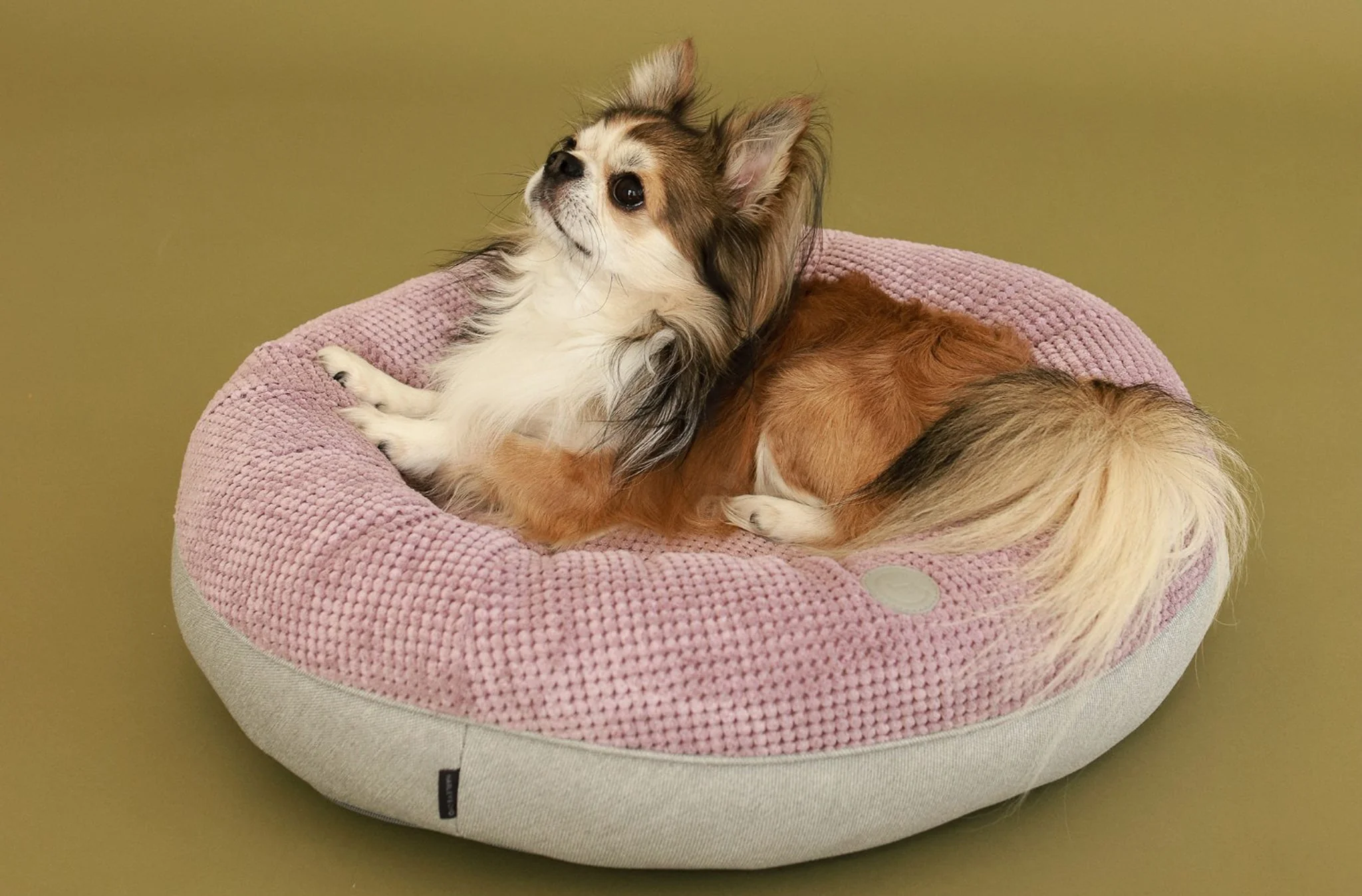 Light Pink Donut Dog Bed - Image 4