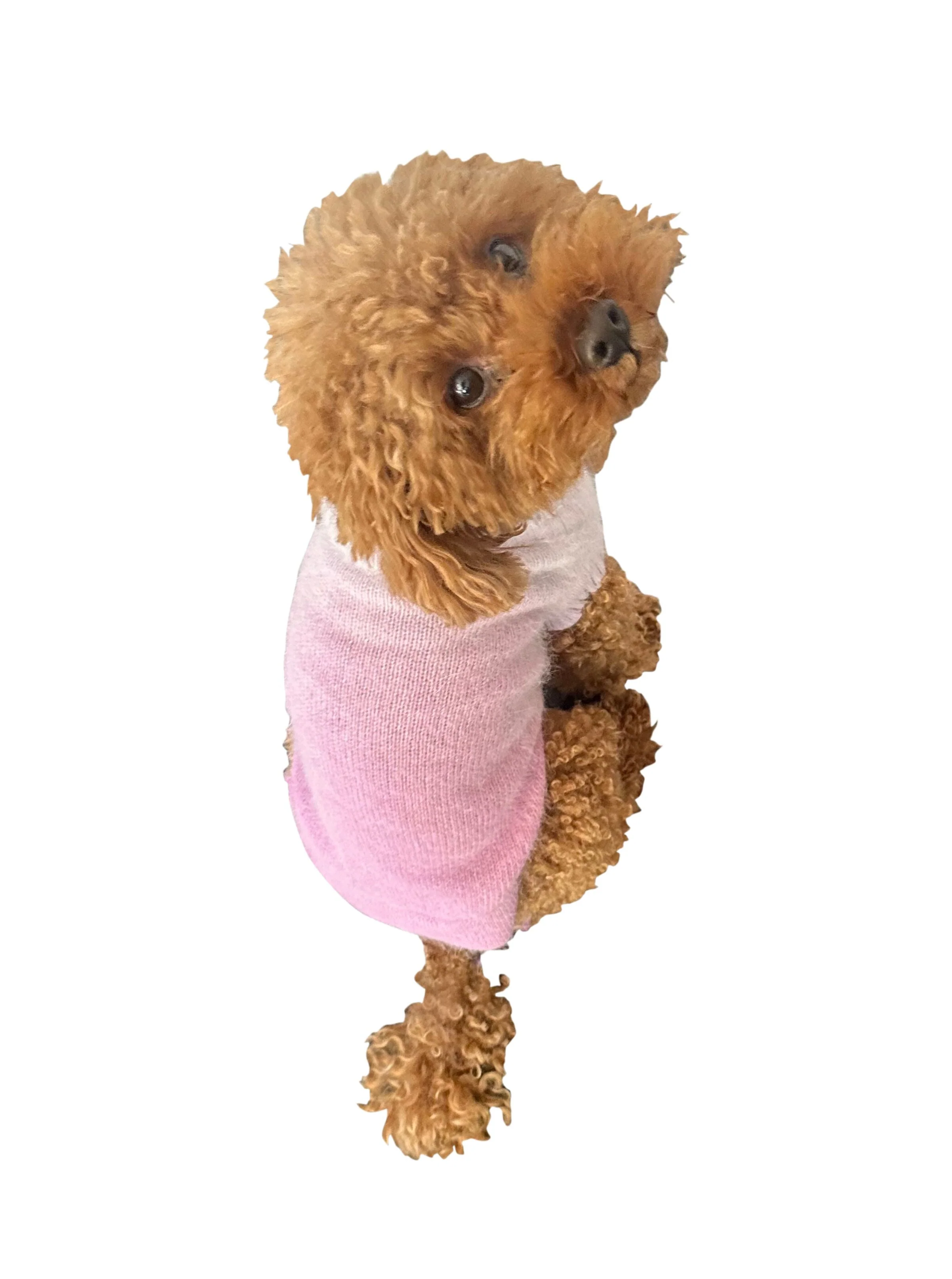 Lilac Ombre Sweater - Image 2