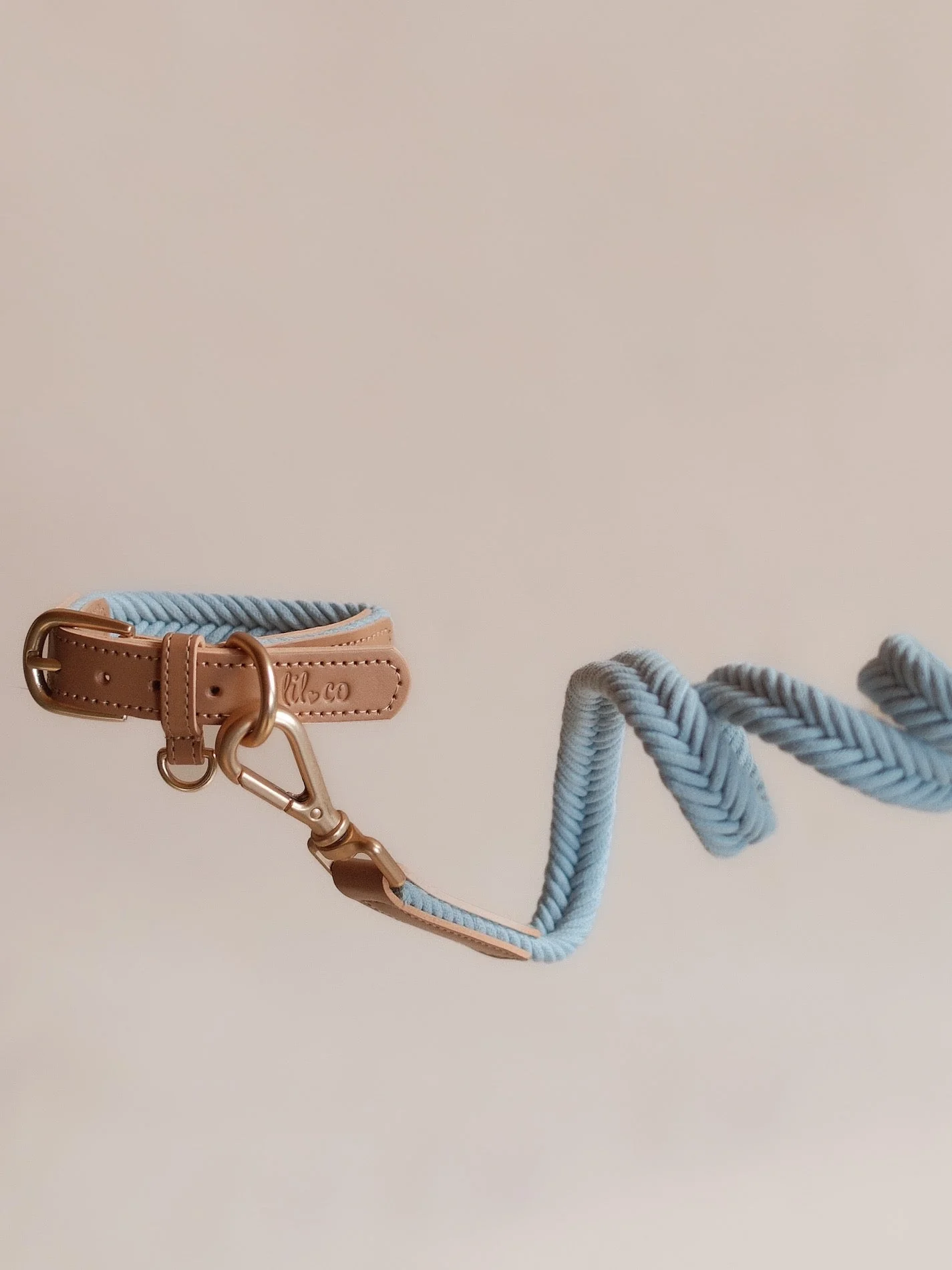Lilco Braided-Leash | Seabreeze - Image 2