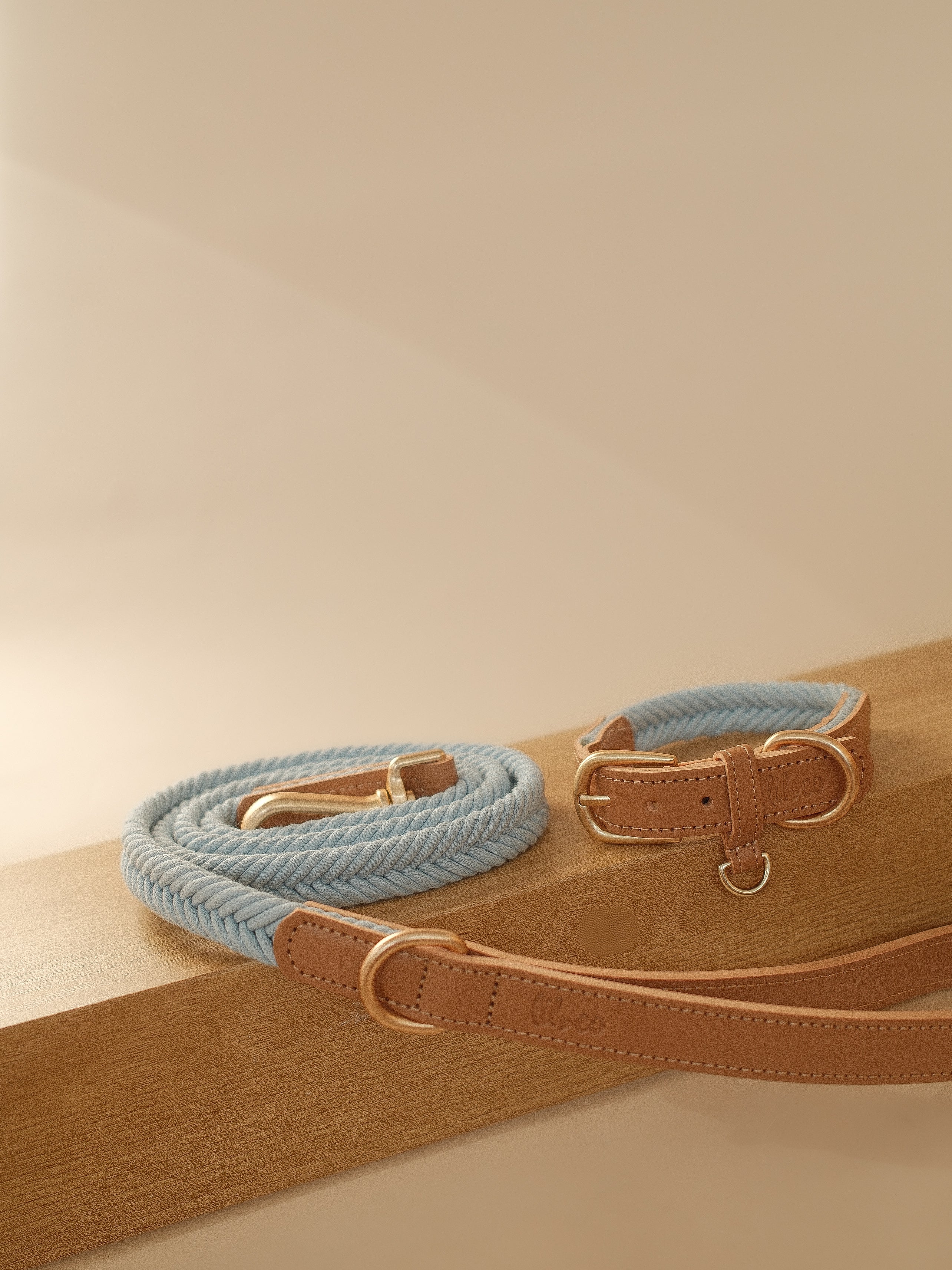 Lilco Braided-Leash | Seabreeze - Image 4