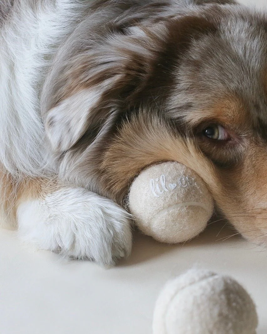 Lilco Tennis Ball | Moonbeam - Image 5