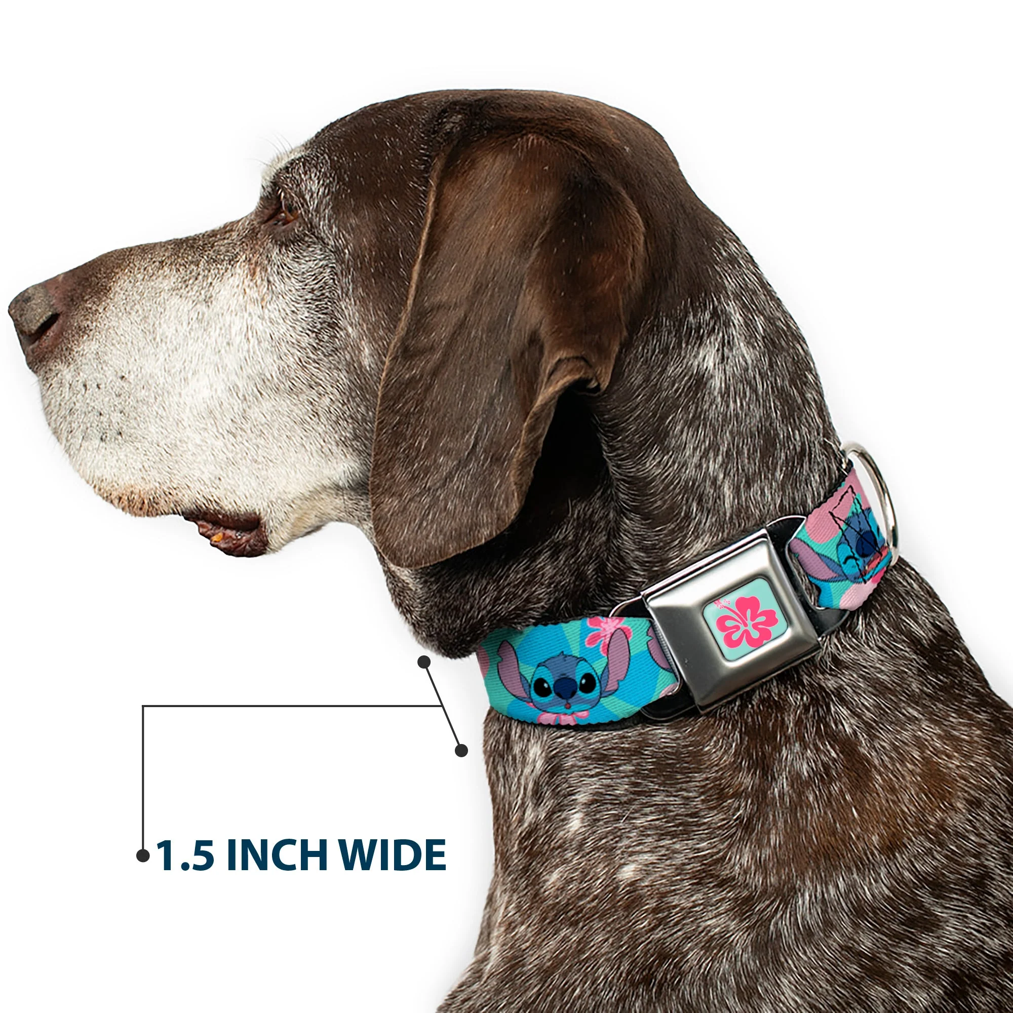Lilo & Stitch Flower Full Color Blue/Pink Seatbelt Buckle Collar - Lilo & Stitch Stitch Expressions and Tropical Flowers Blues/Pinks - Image 7