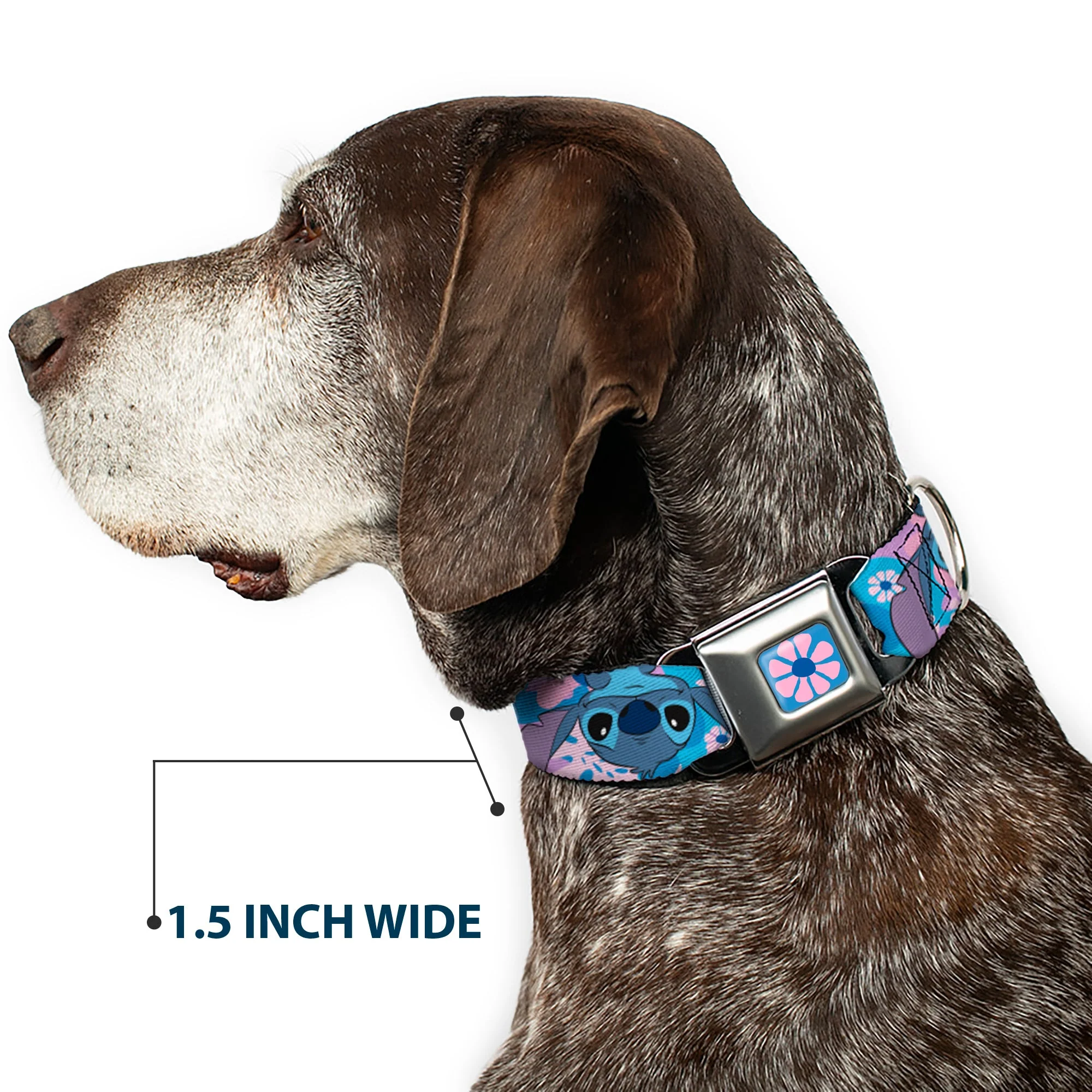 Lilo & Stitch Flower Full Color Blues/Pink Seatbelt Buckle Collar - Lilo & Stitch Stitch Flip Expressions Close-Up Blues/Pinks - Image 7