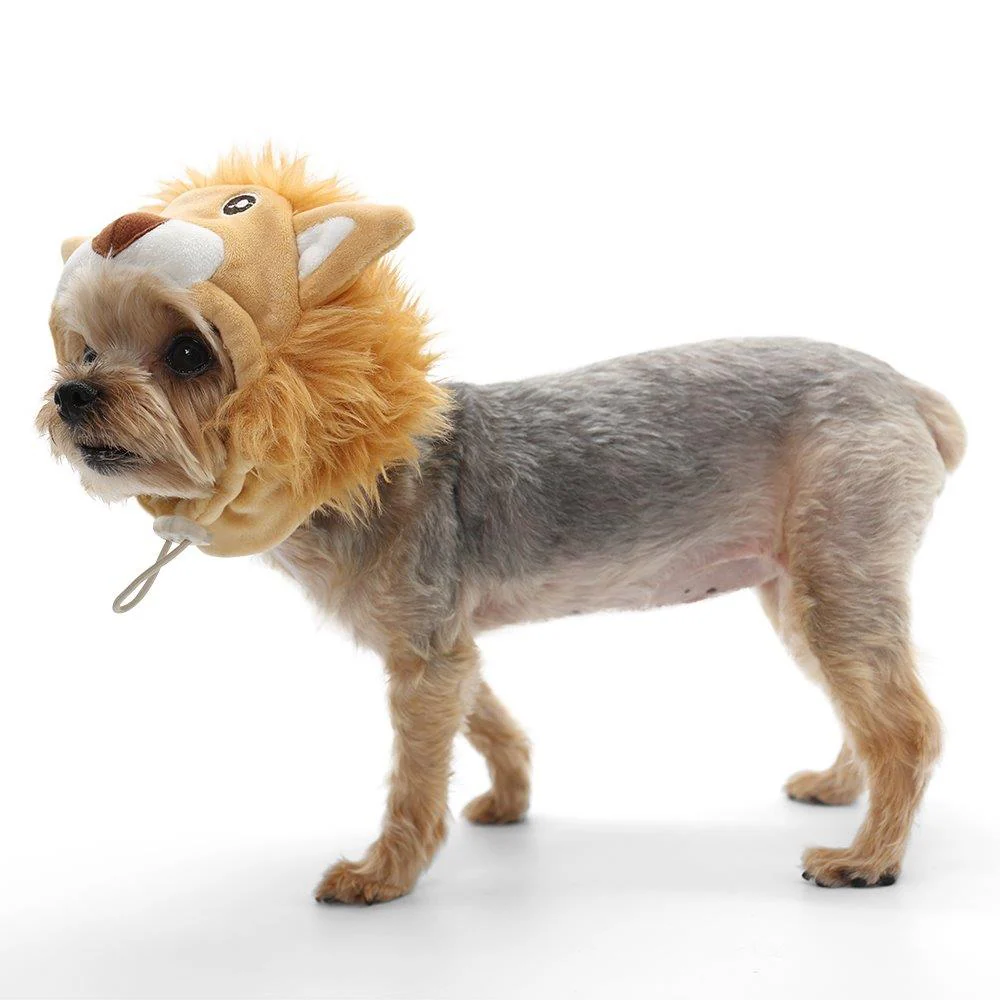Lion Hat - Image 6