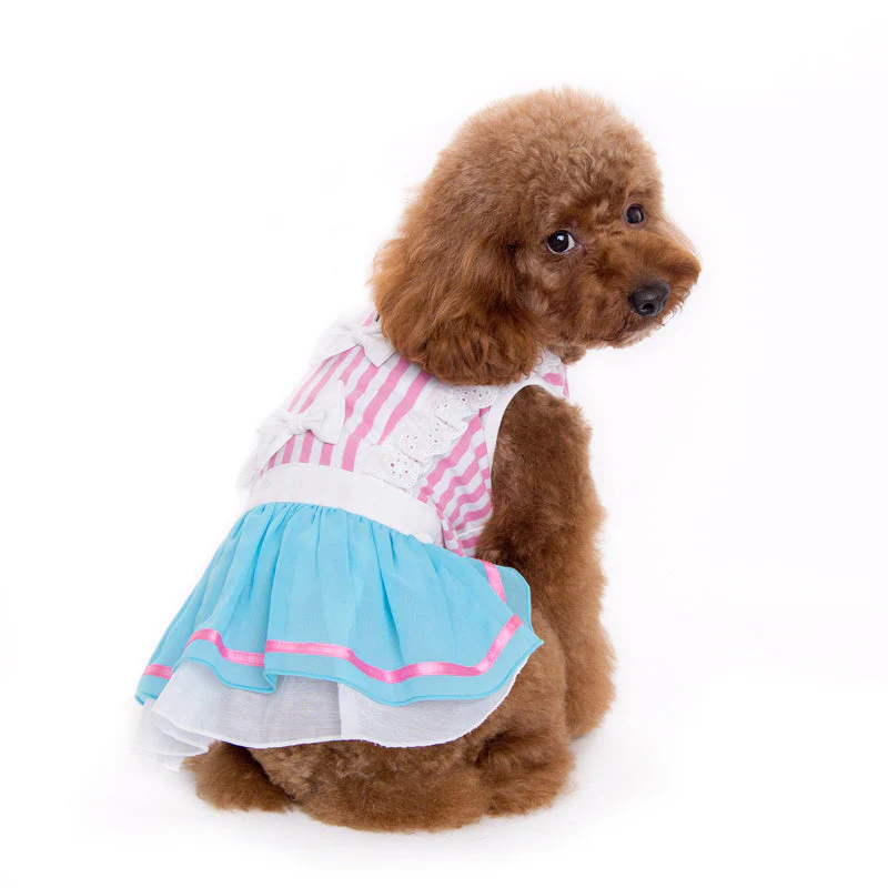 Little Alice Dress
