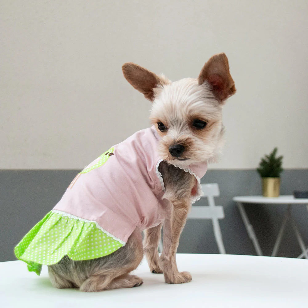 Little Birdy Dress - Image 7