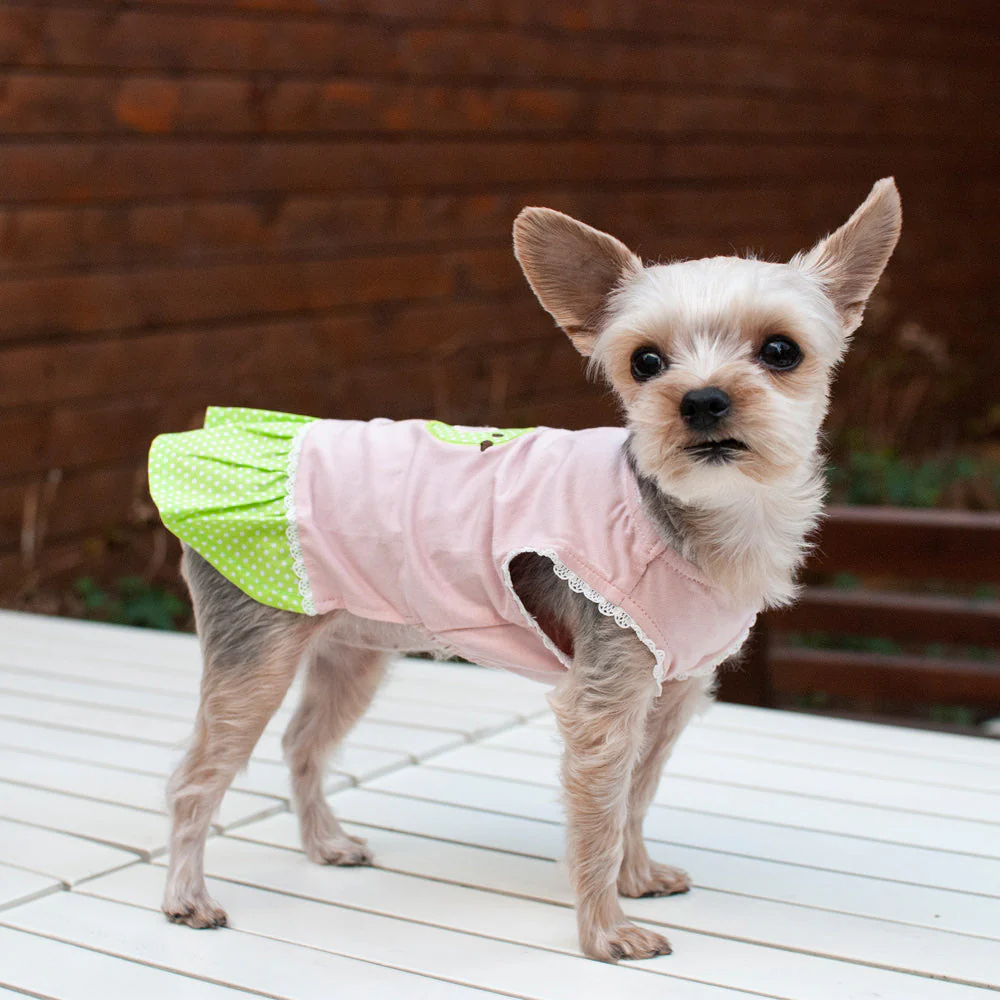 Little Birdy Dress - Image 9