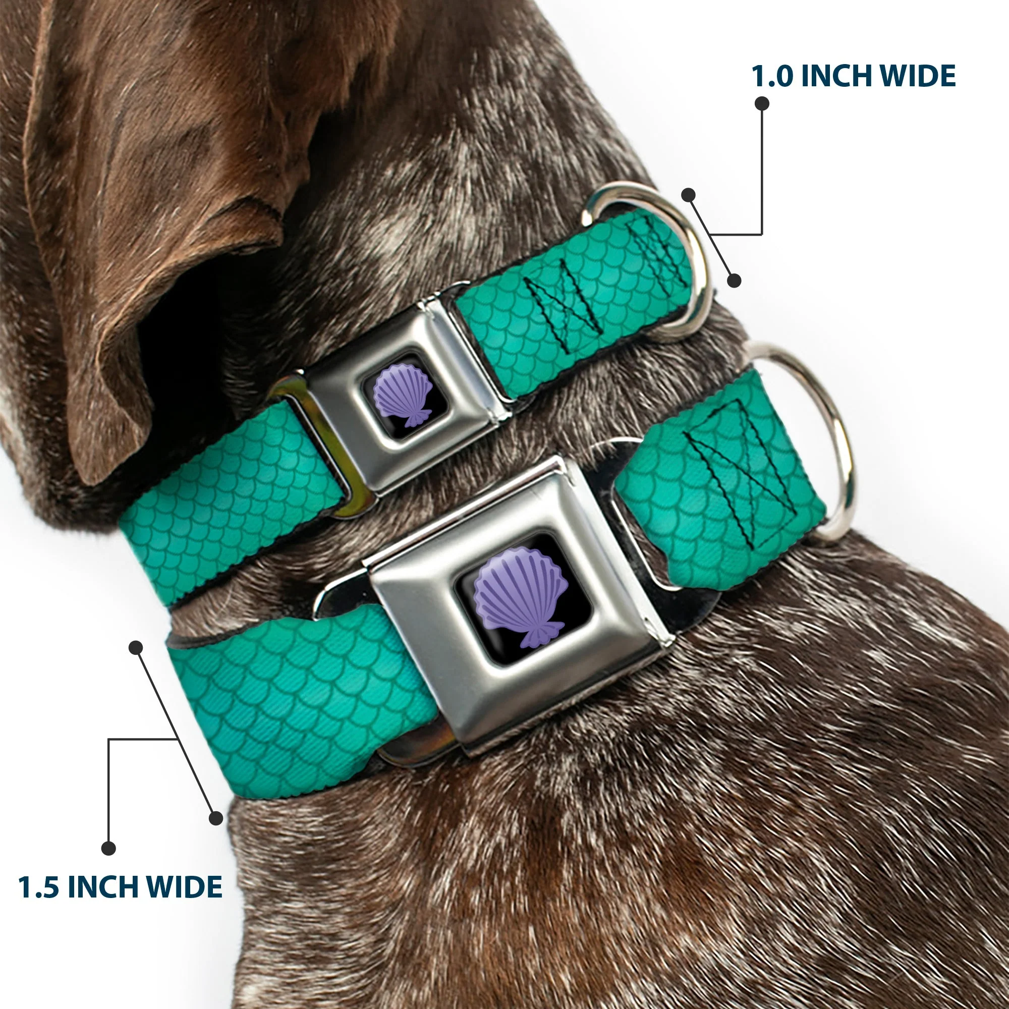 Little Mermaid Clam Shell Full Color Black/Purples Seatbelt Buckle Collar - Ariels Scales Turquoise Blues - Image 2
