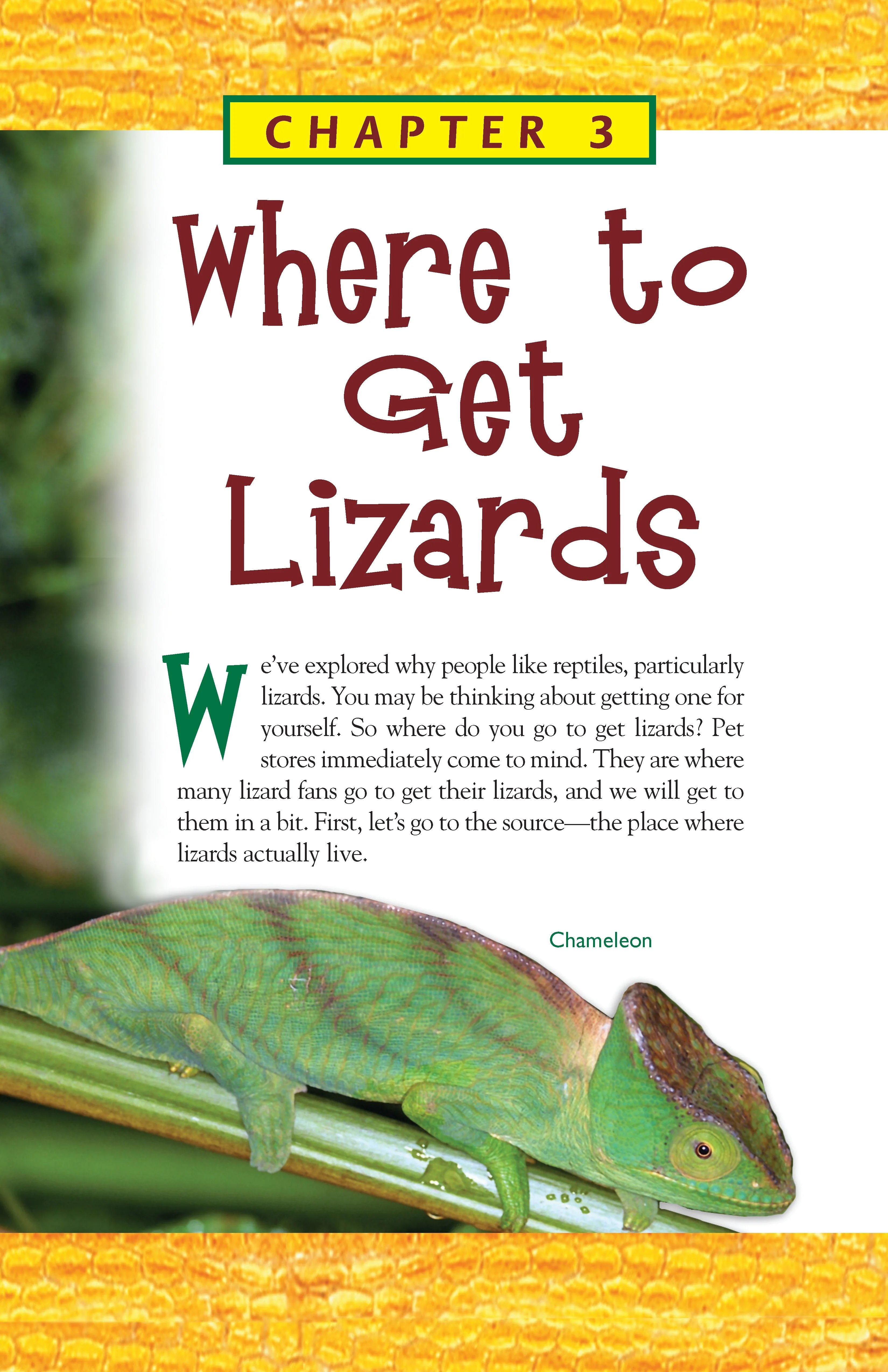 Lizards - Image 2